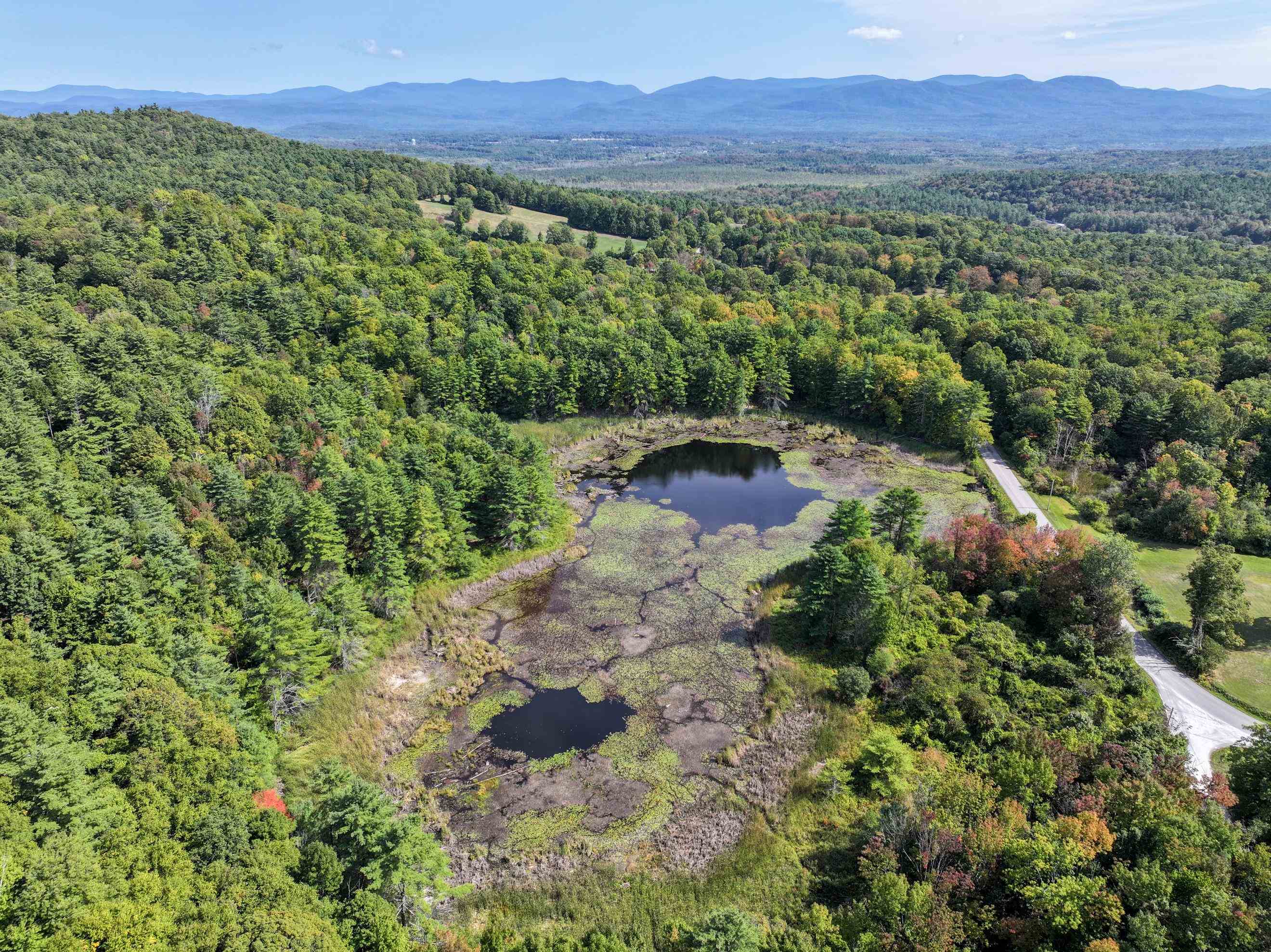 Your own pond