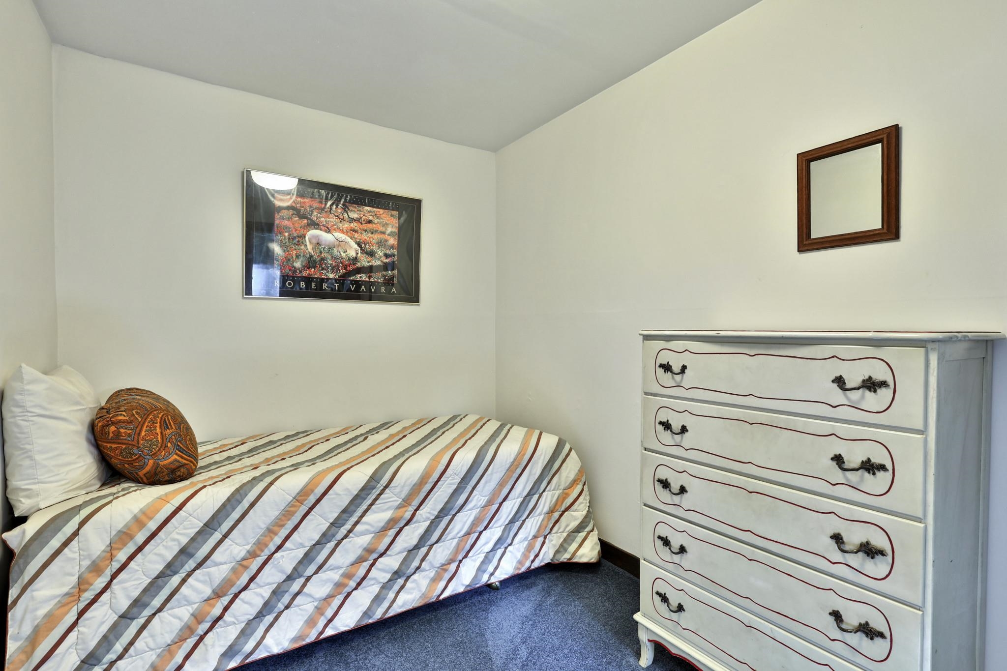 Flex Room in Walkout Level