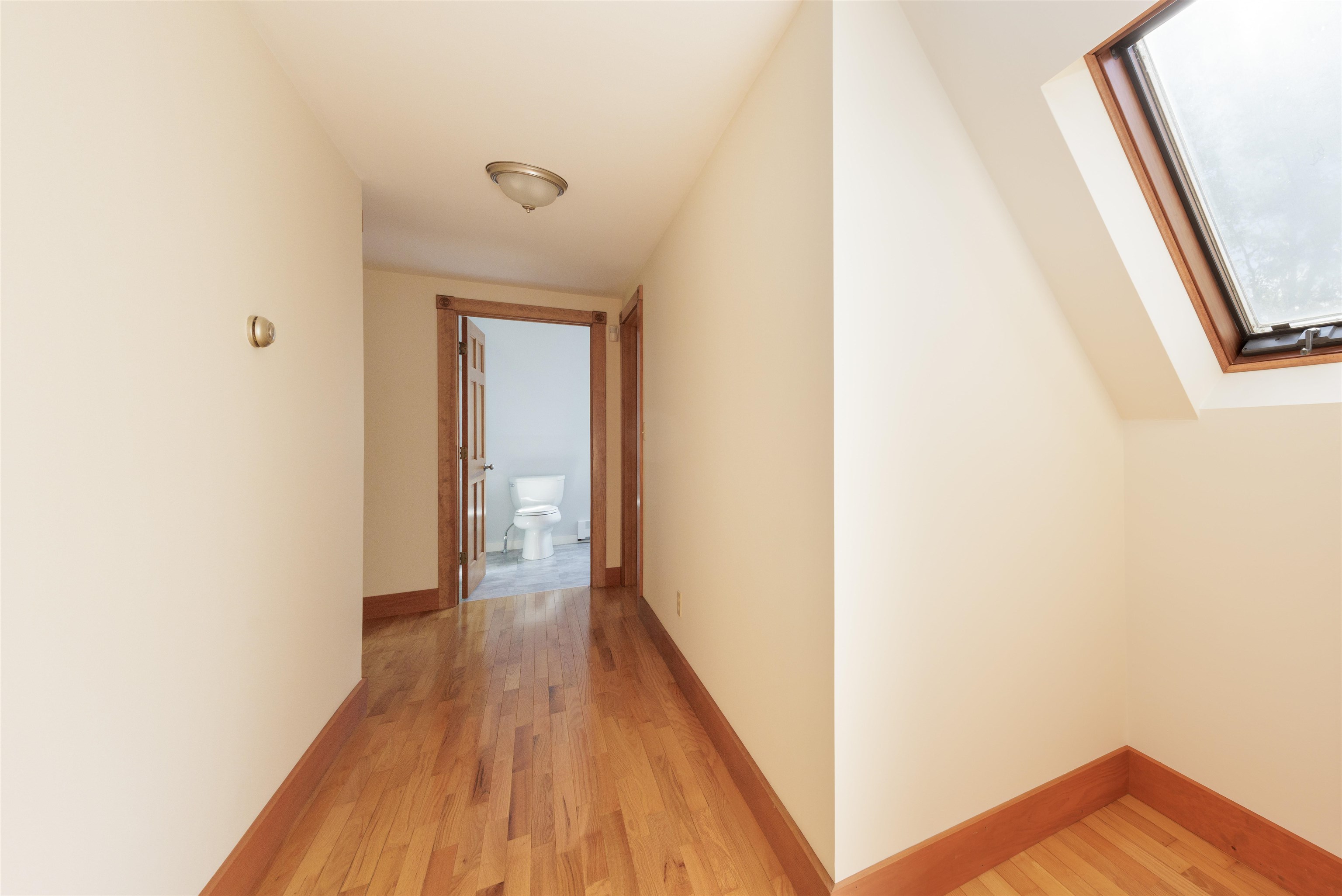 Sun Filled Hallway 24133598