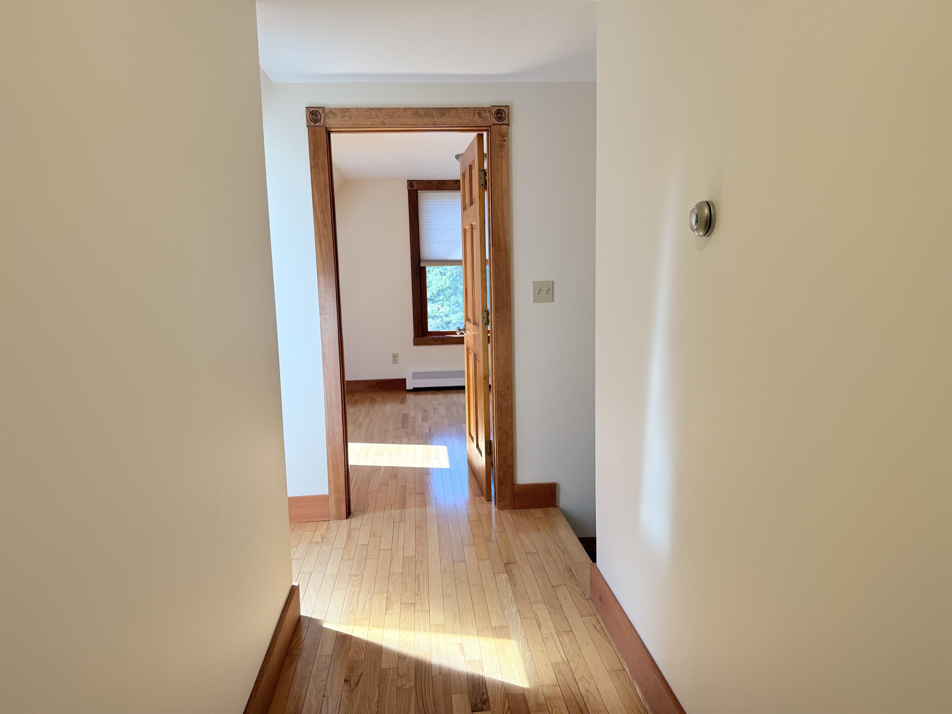 Hallway 24114711