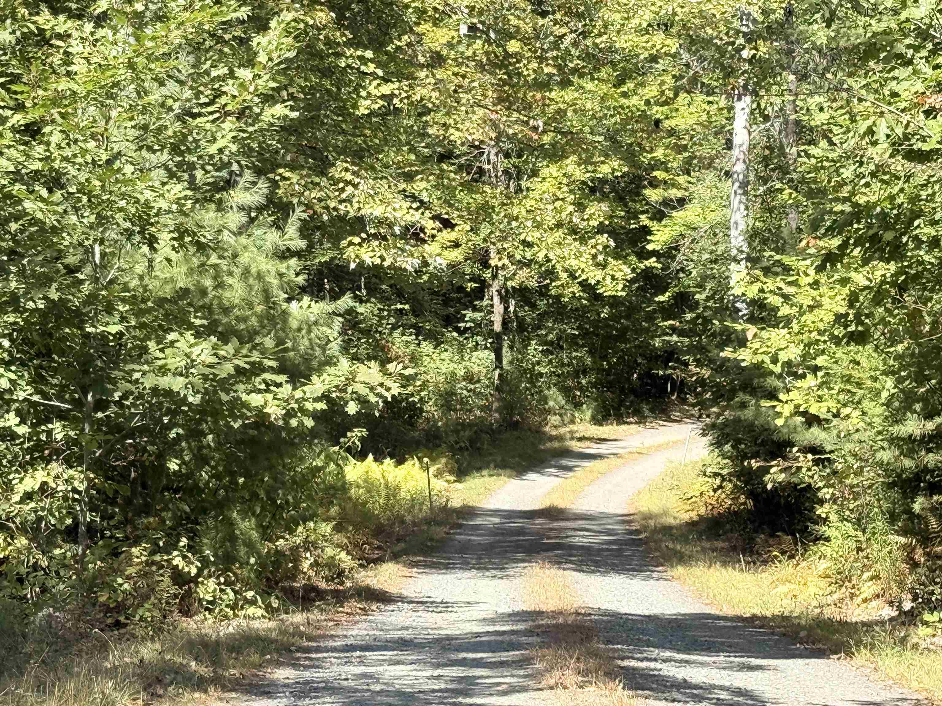 Your Driveway 24133915