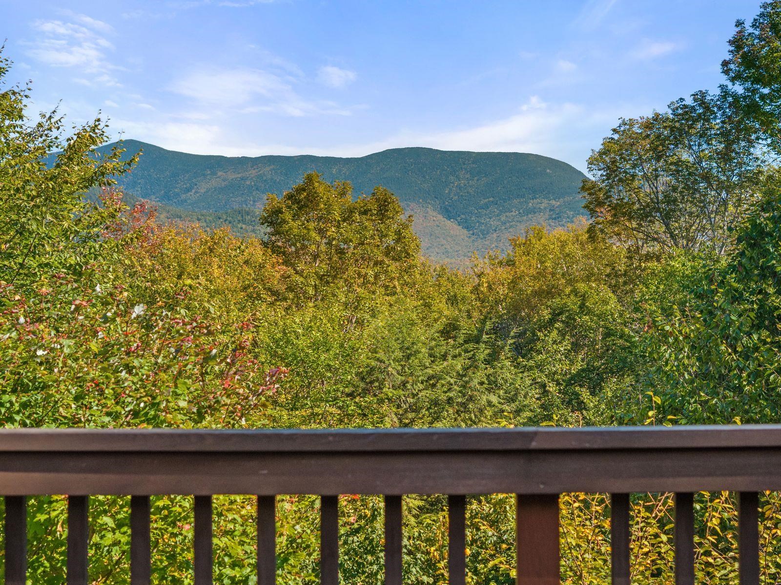 VIEW OF SANDWICH NOTCH