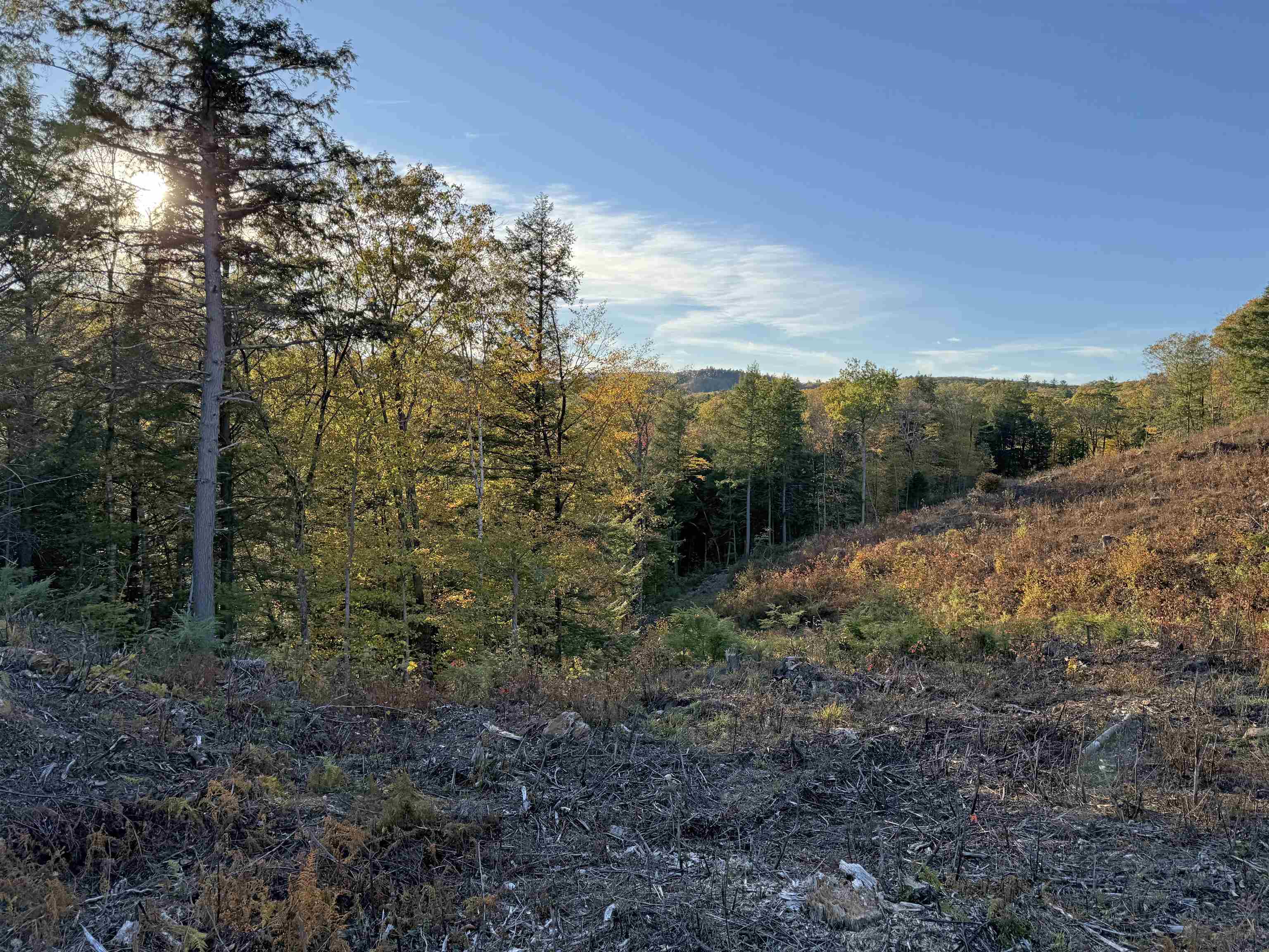 MLS #5062538 image #11