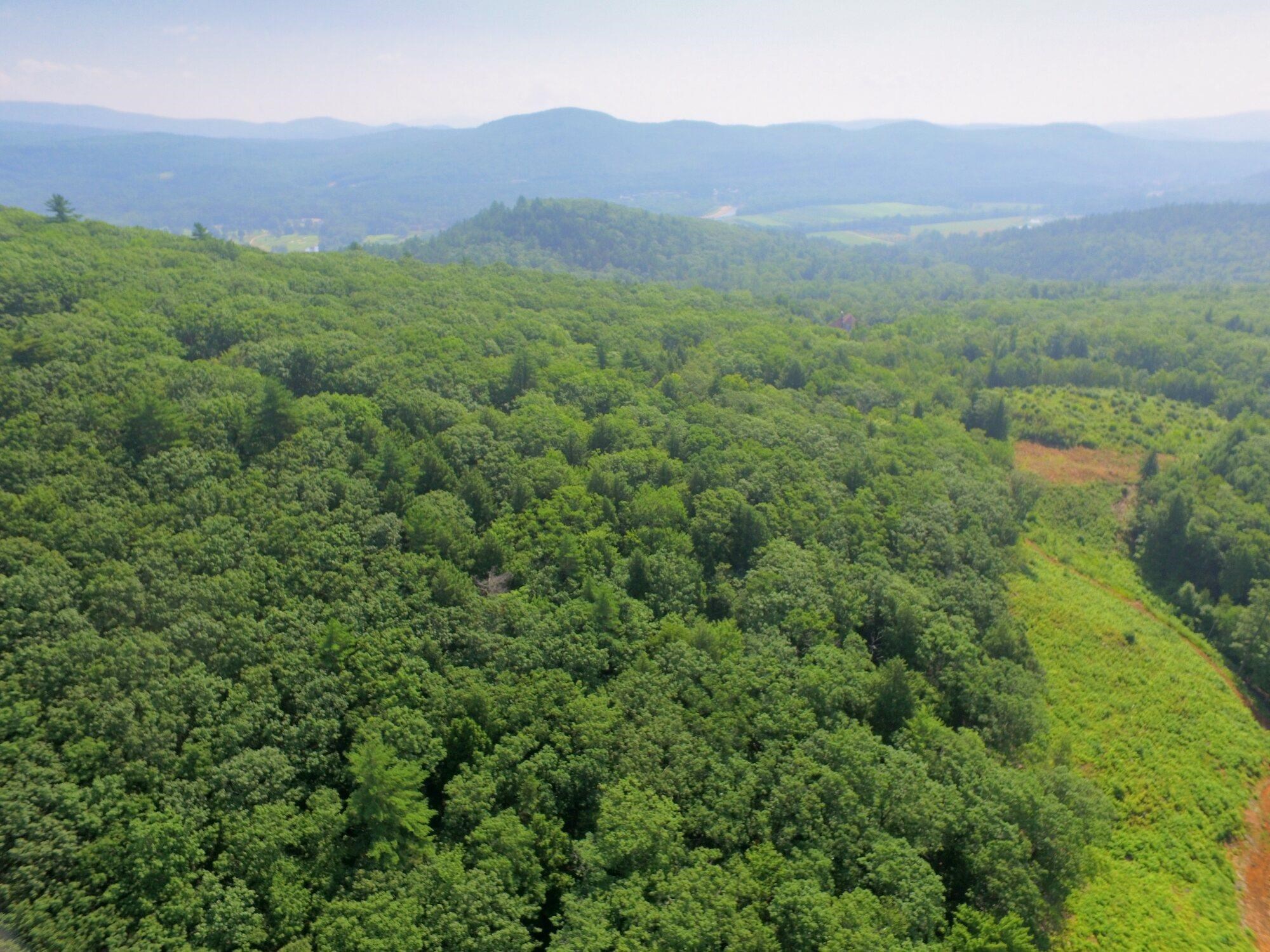 MLS #5062538 image #13