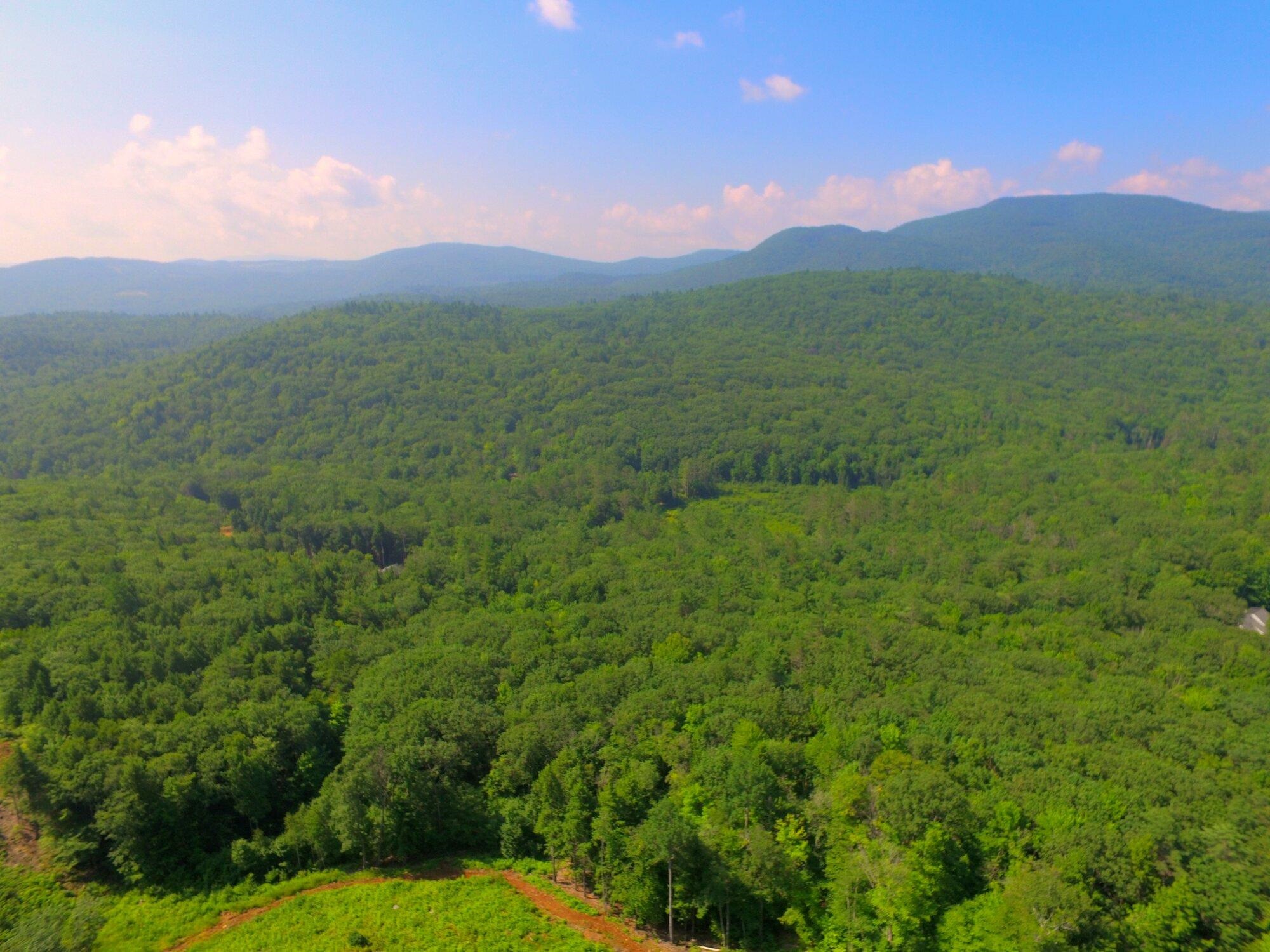 MLS #5062538 image #16