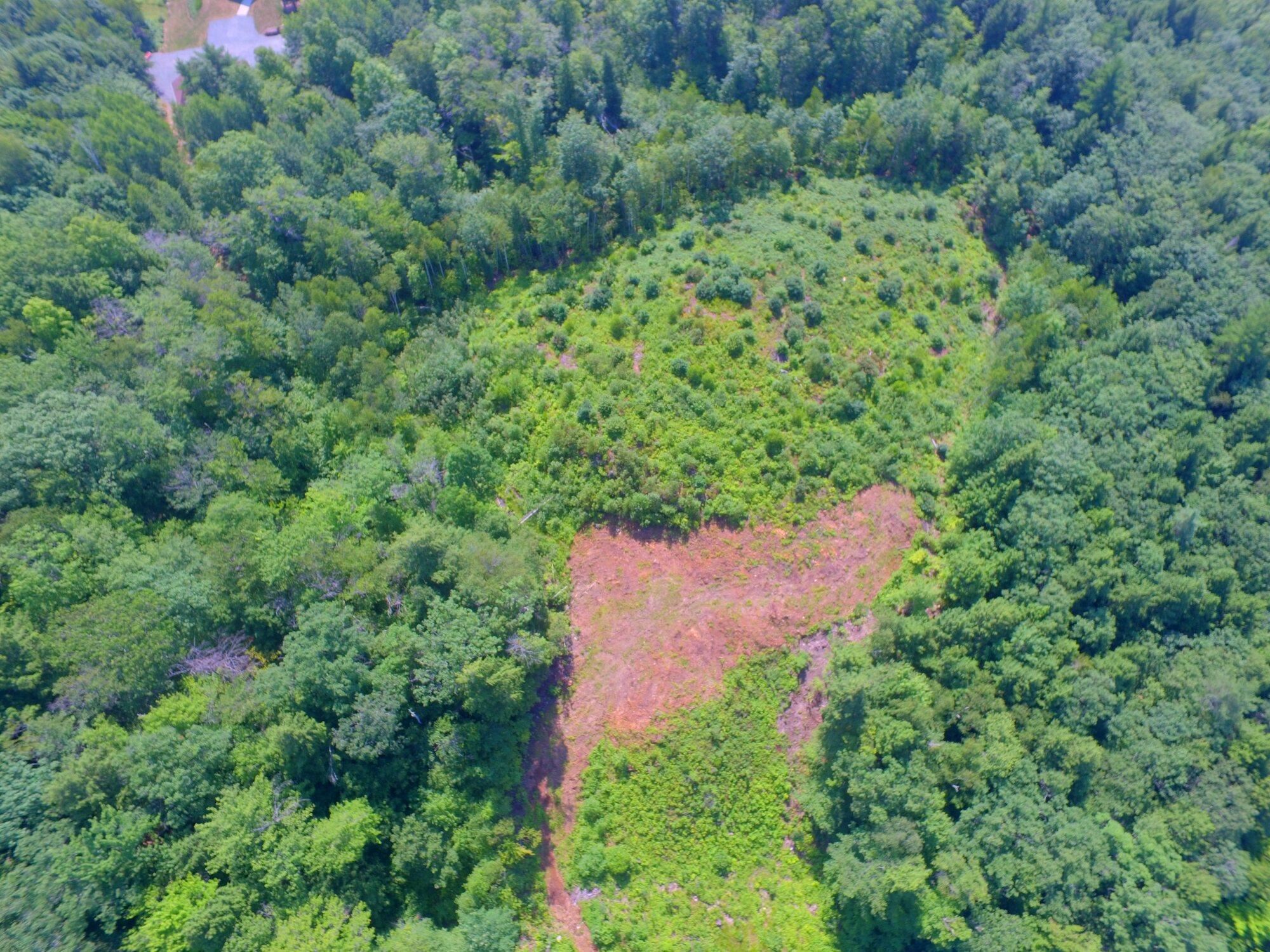 MLS #5062538 image #20