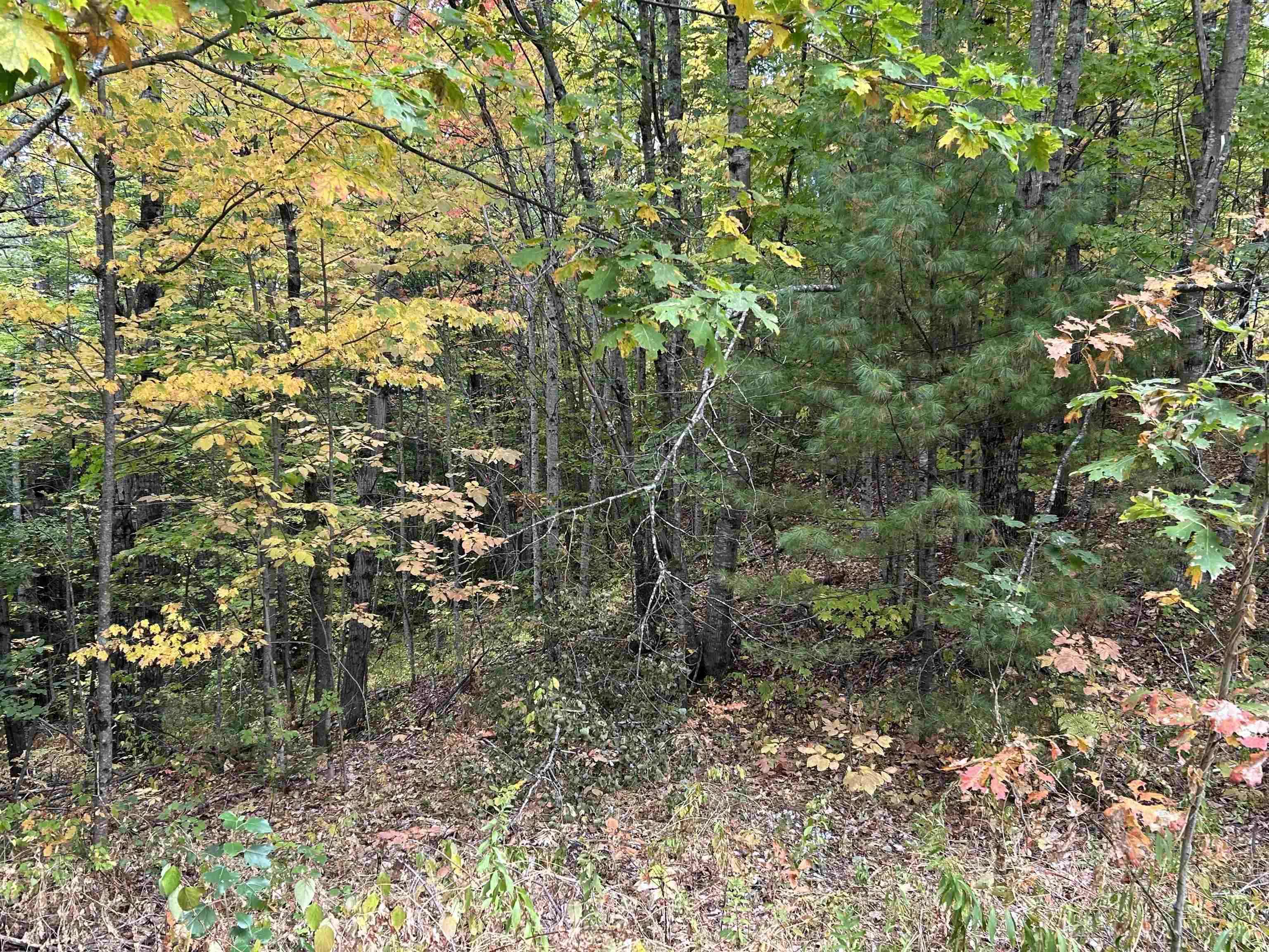 MLS #5062569 image #5