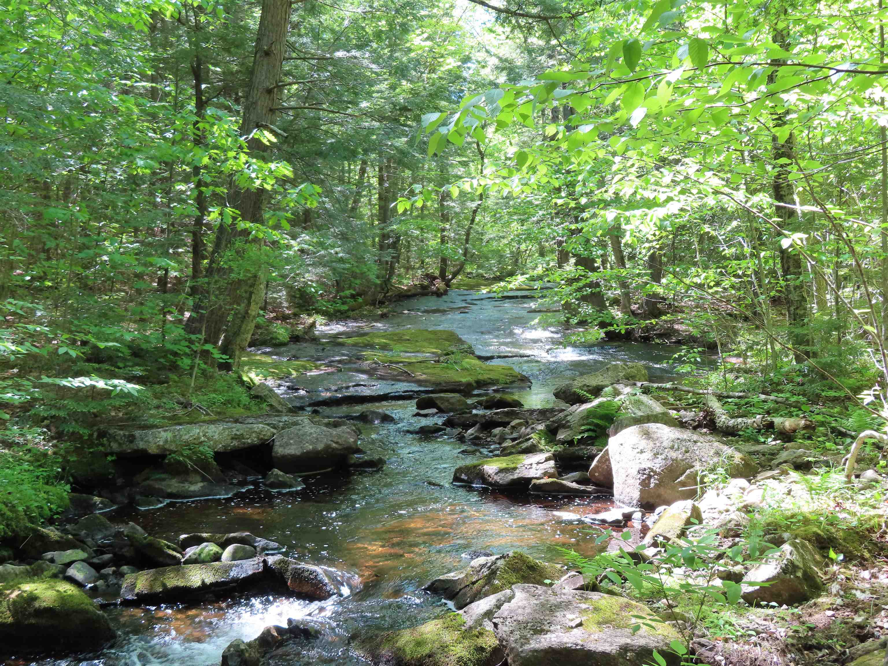 Watson Brook