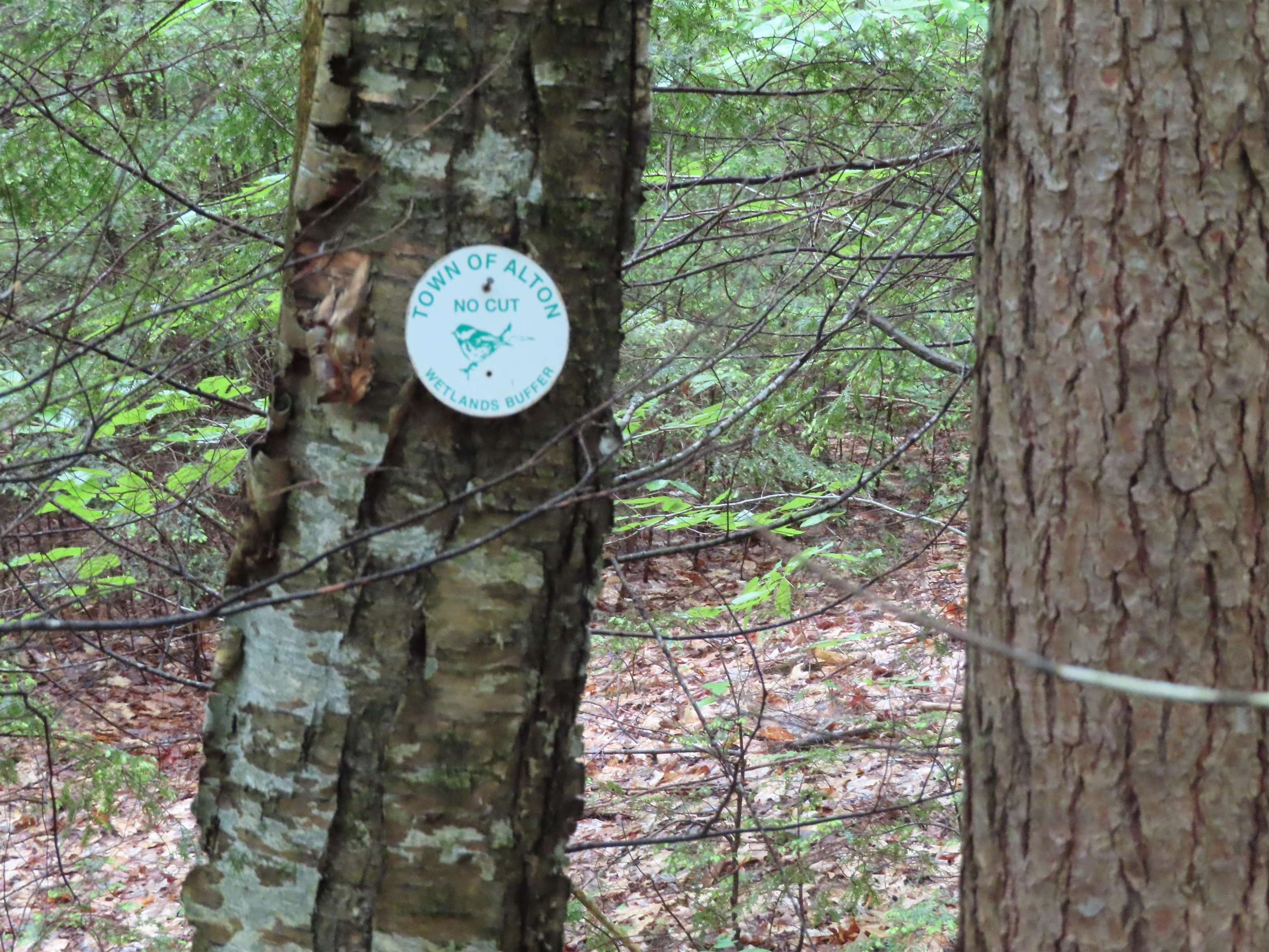 Wetlands marked