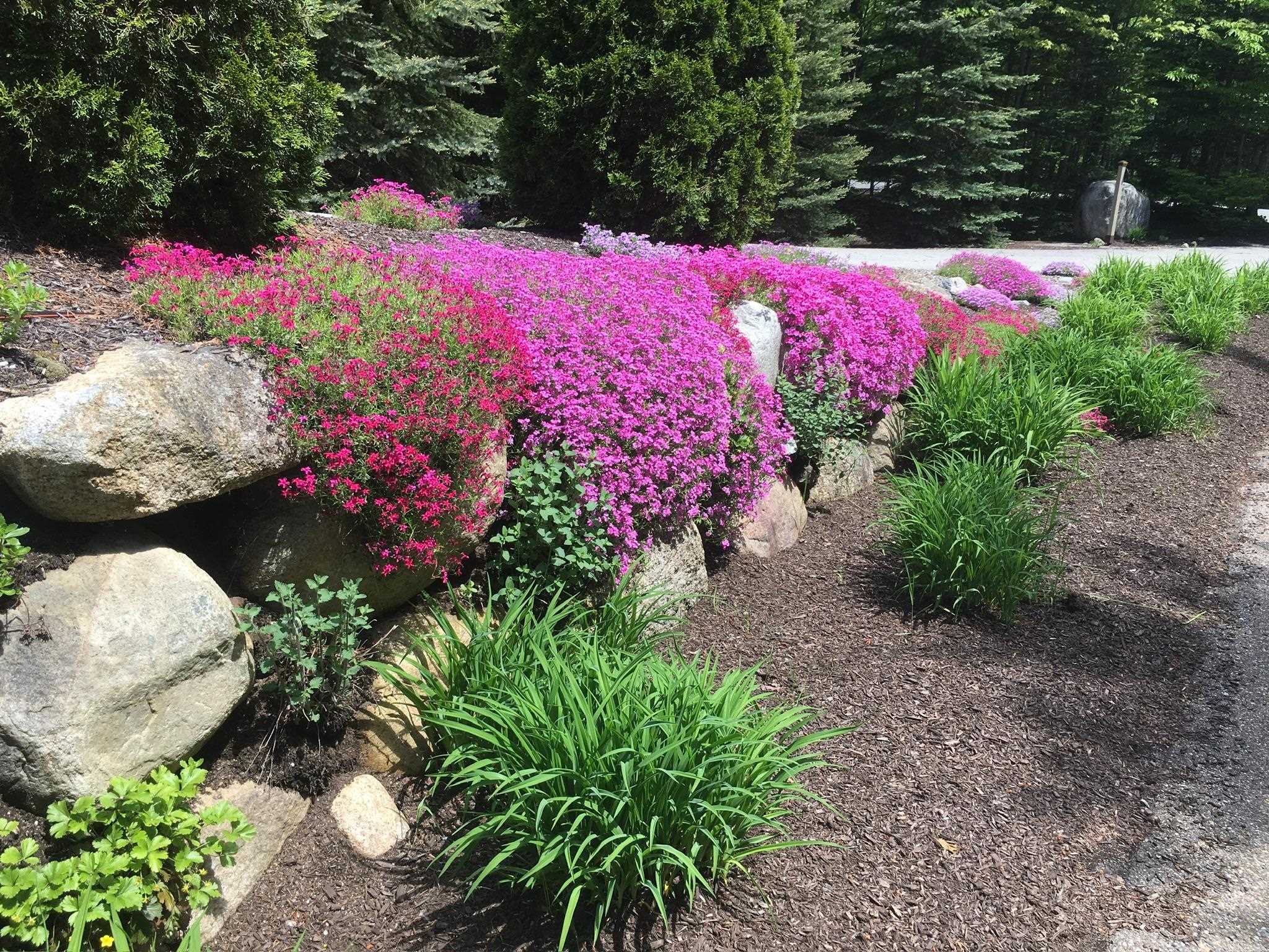 Beautifully landscaped throughout