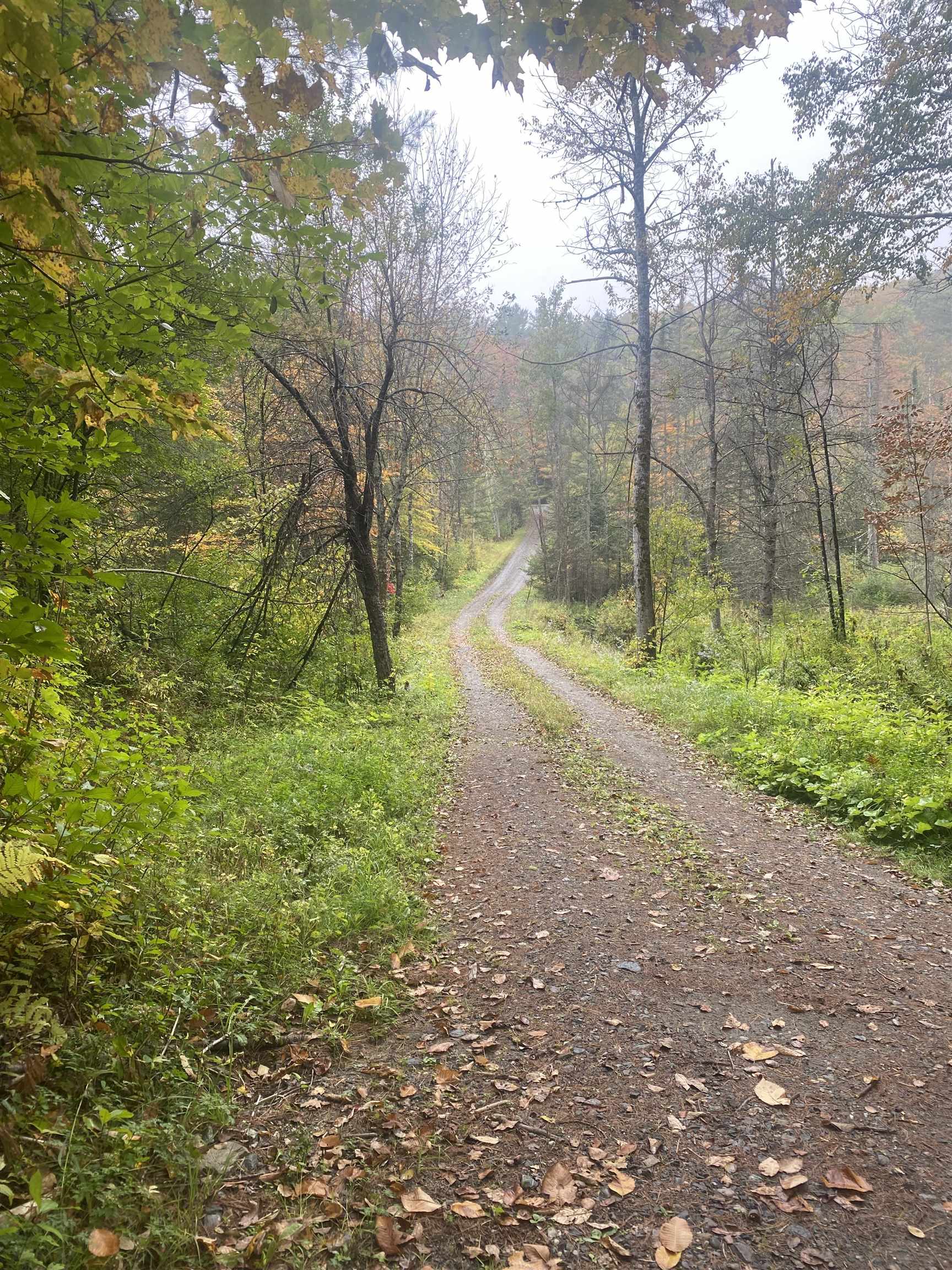 Homes for sale in Tunbridge, VT | 66 Paine Rd, Tunbridge, VT 05077 | MLS# 5062673