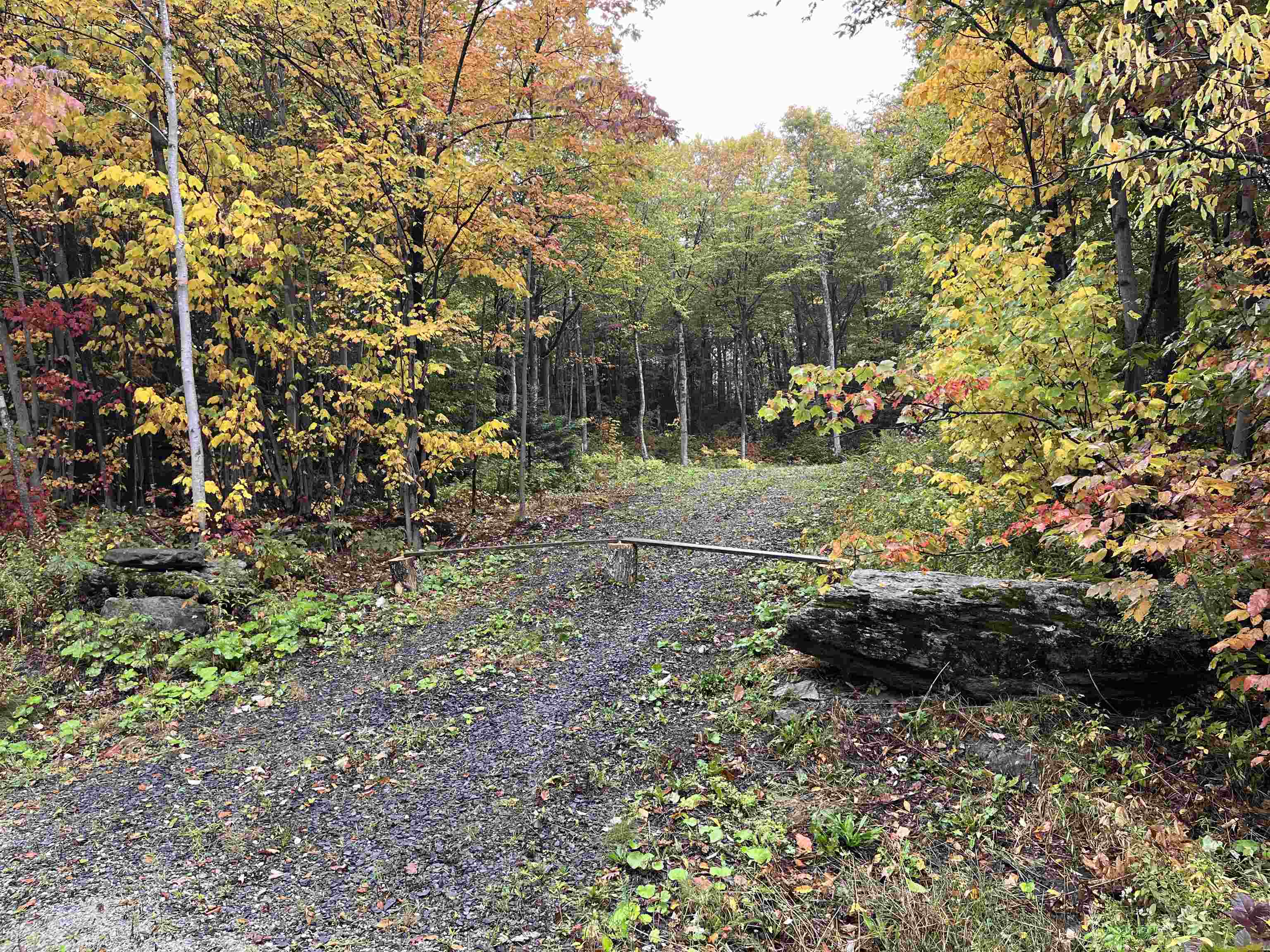 Roxbury VT Land for sale $99,750 | 10.1 Acres  | Price Per Acre $0 