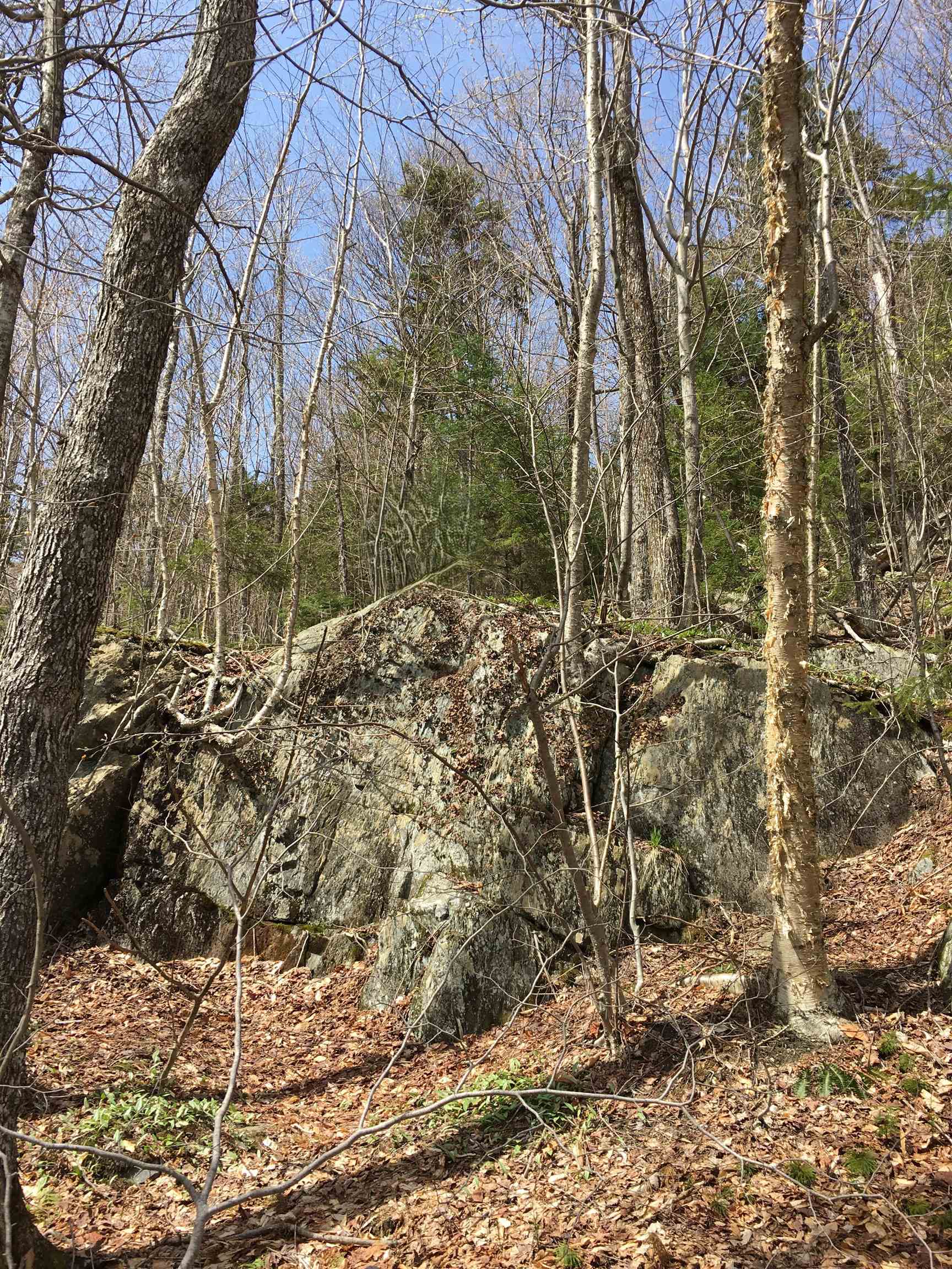Upper Cliffs- Early Spring