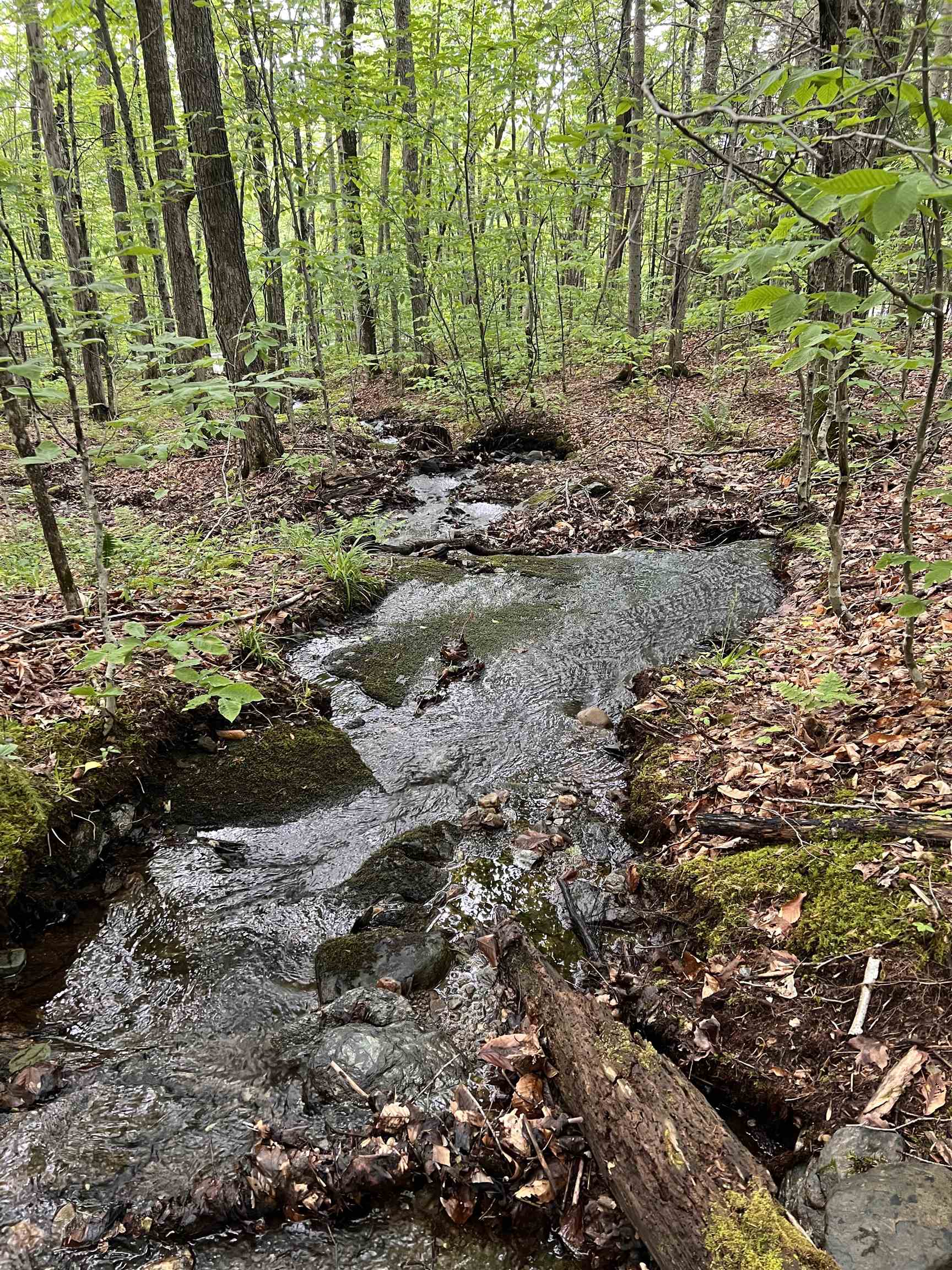 Seasonal Stream