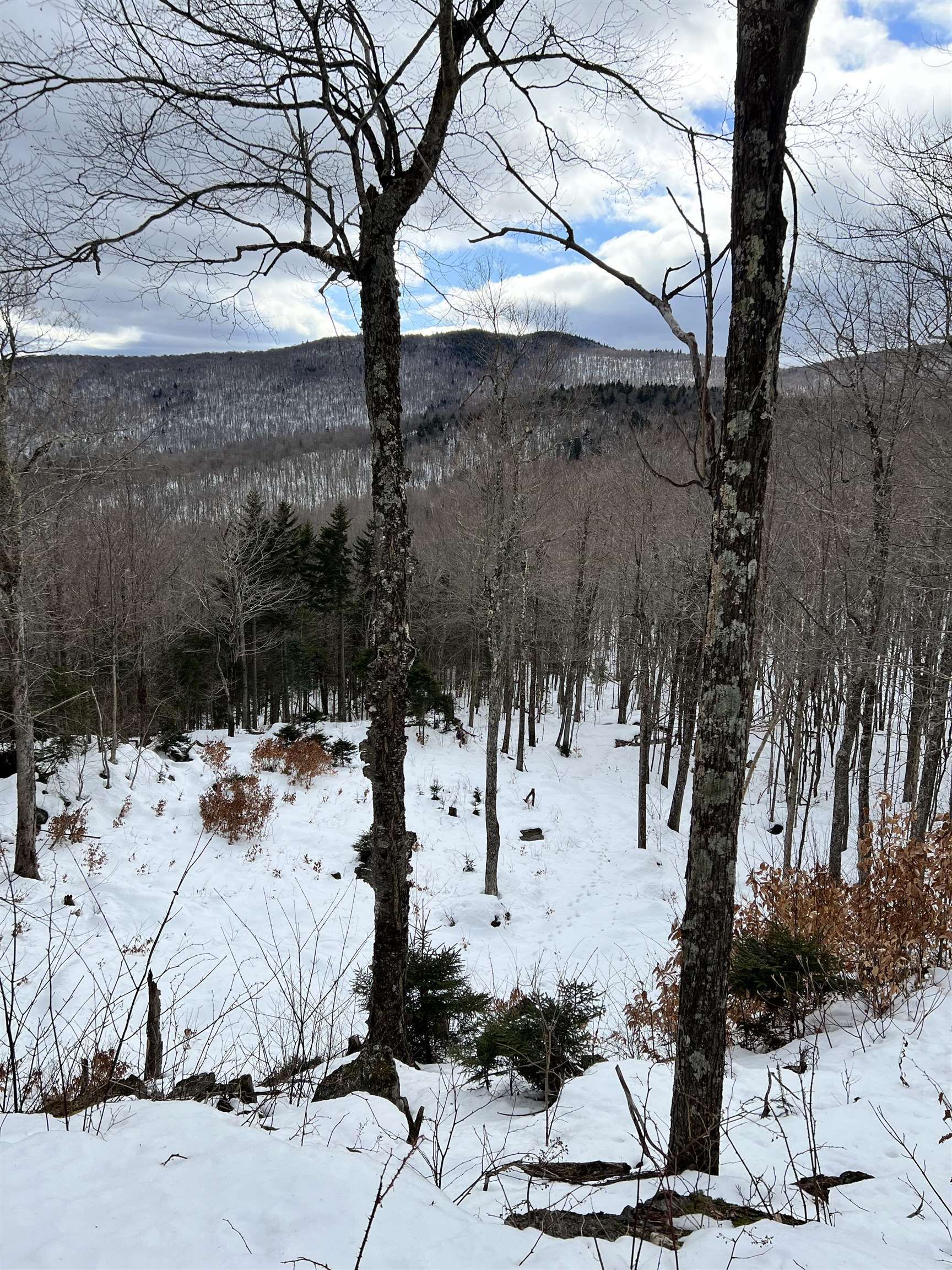 Winter Views