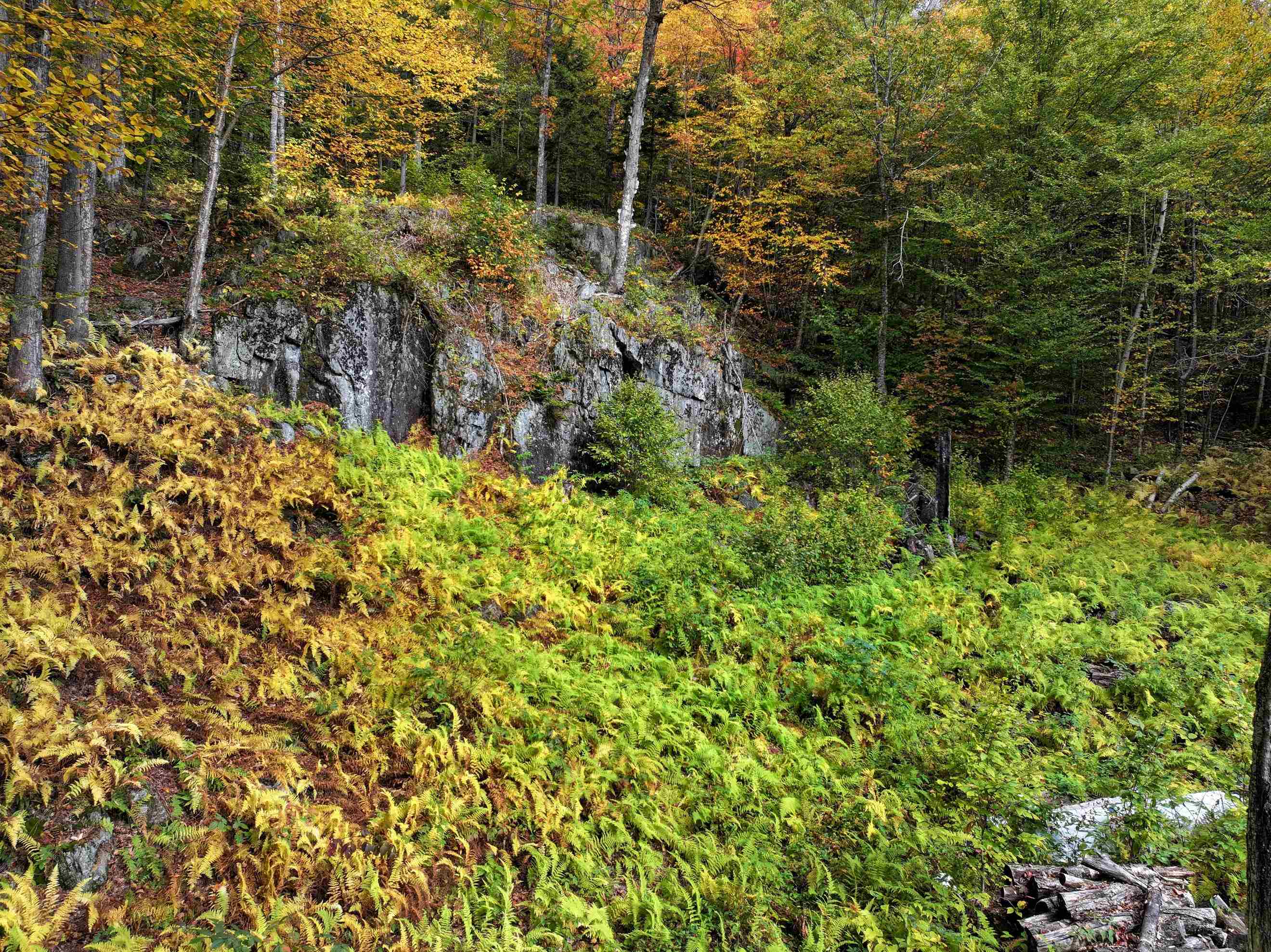 Upper Clearing Cliffs