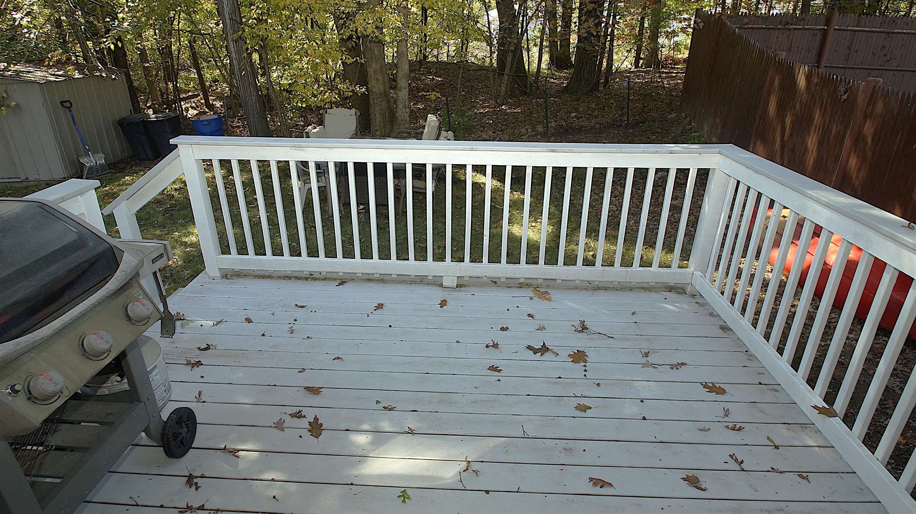 Photo 5 of 25
