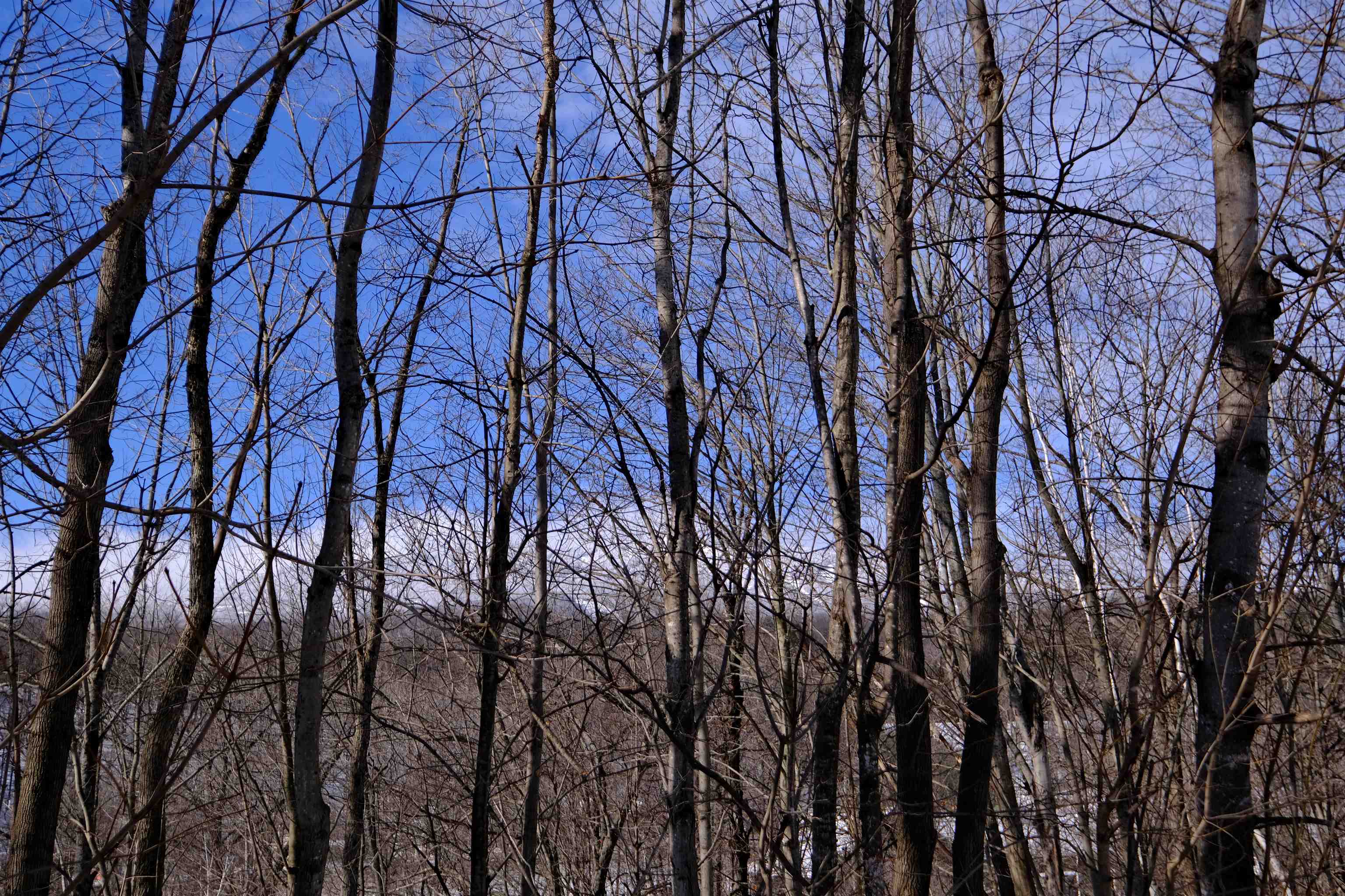 More views of Okemo