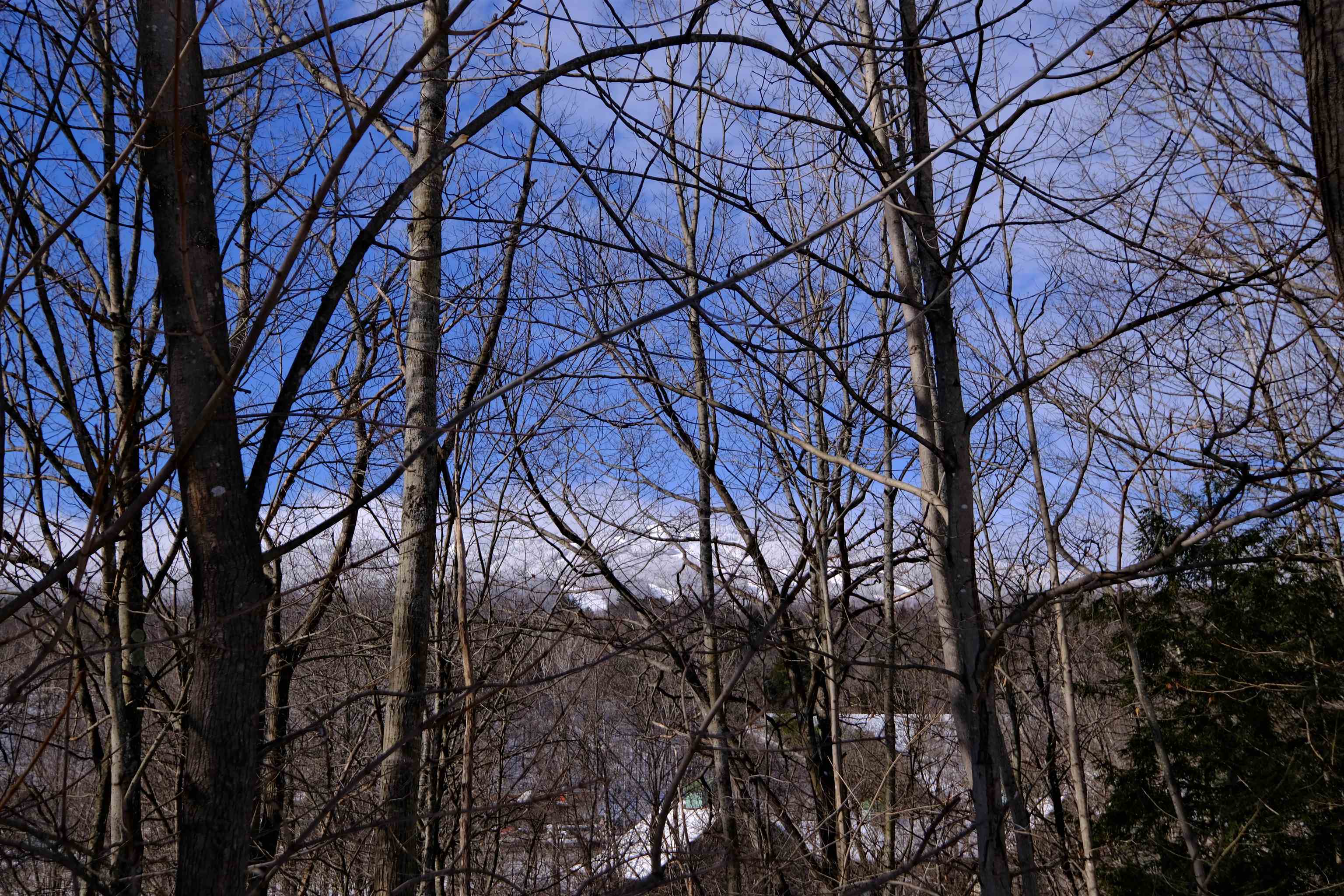 Winter views