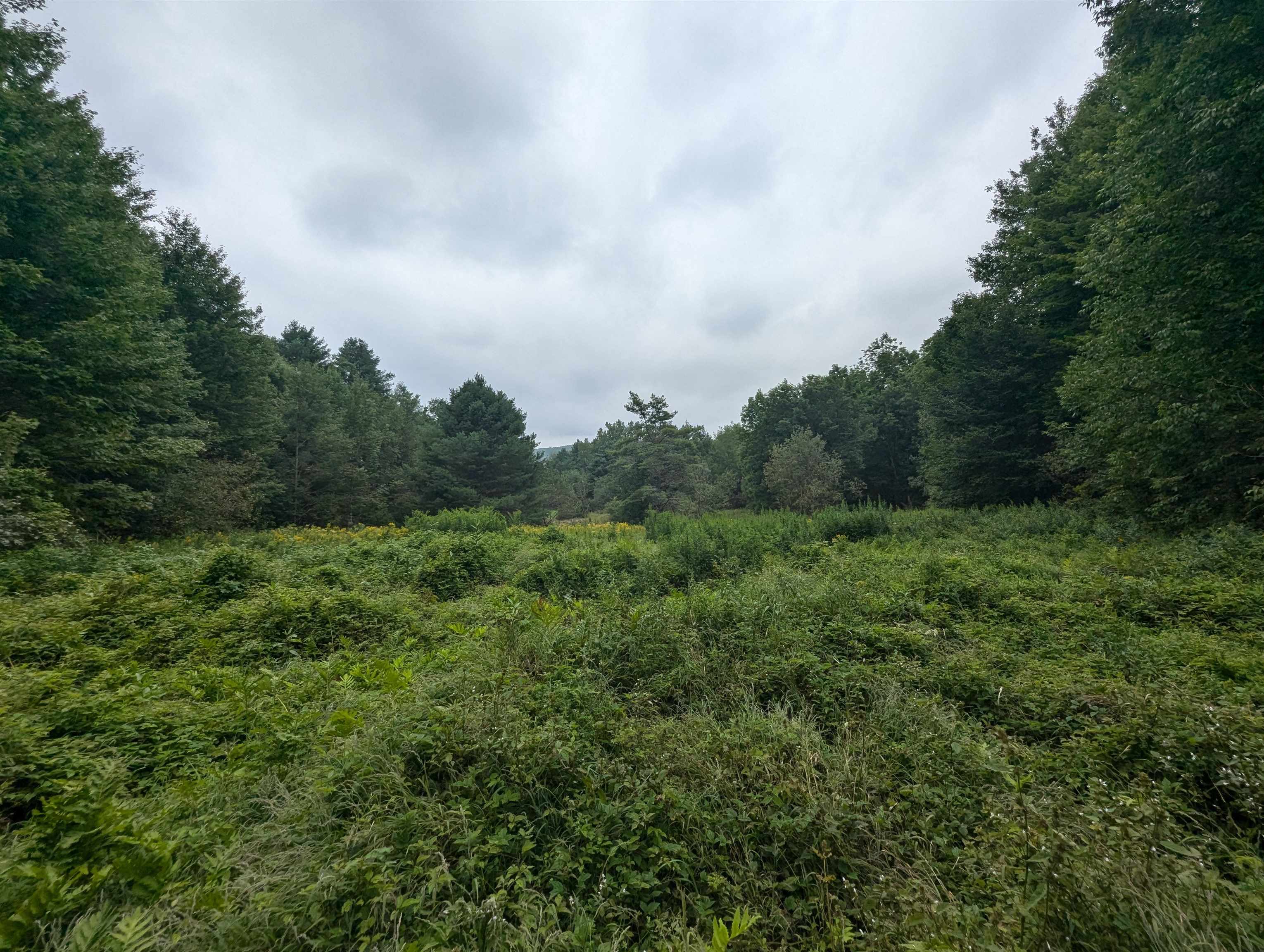 Homes for sale in Woodbury, VT | 187 East Hill Rd, Woodbury, VT 05681 | MLS# 5063214