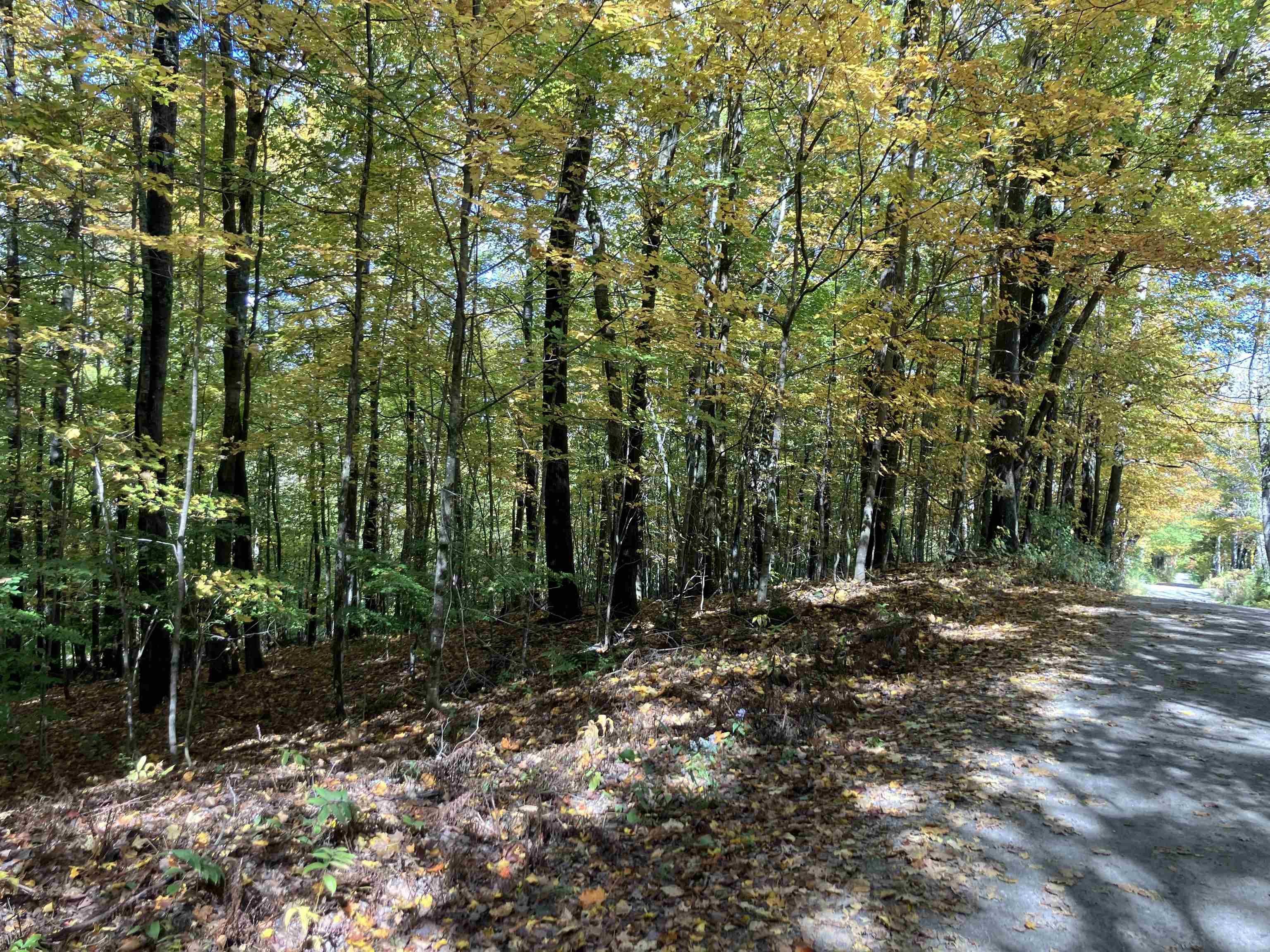 LYME NH Land for sale $$420,000 | 29.92 Acres  | Price Per Acre $0 