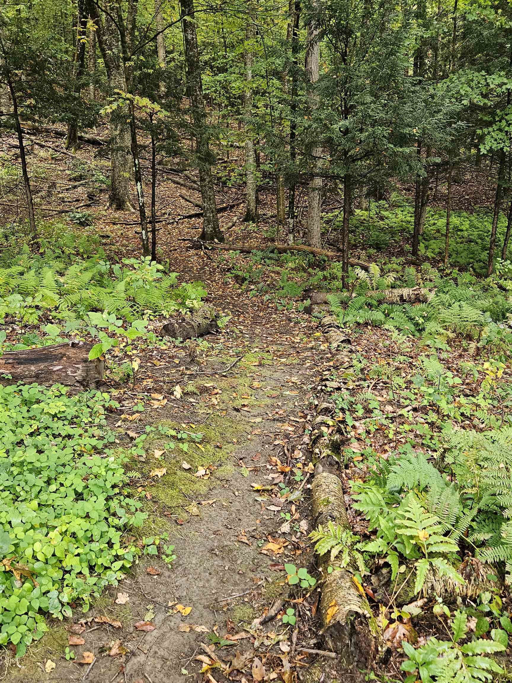 Trail leading up to the Boston Lot