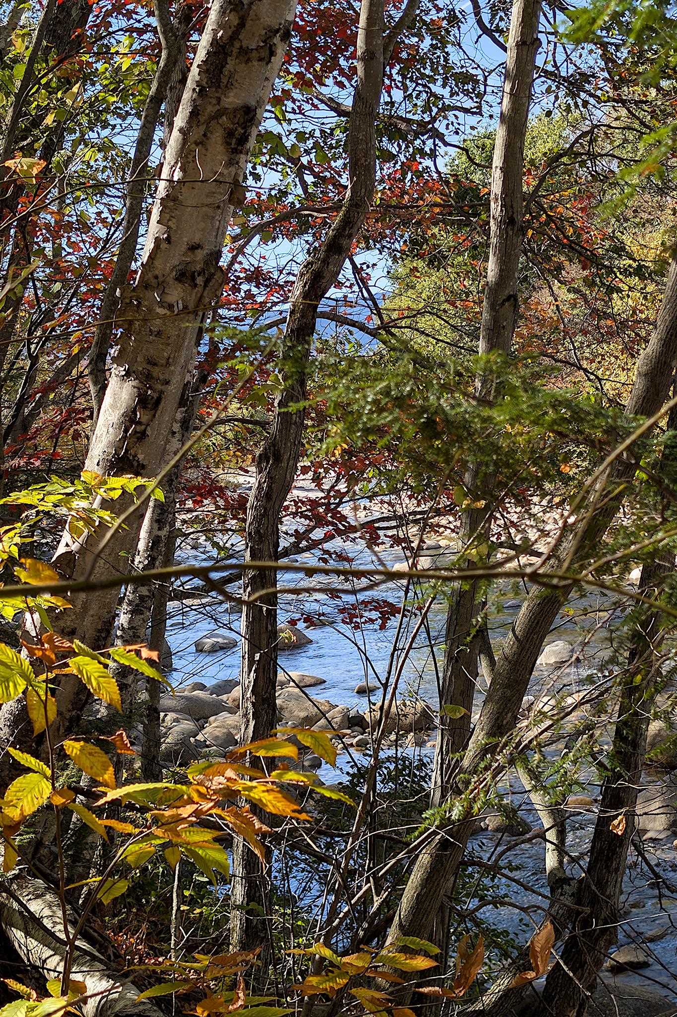 MLS #5063313 image #25