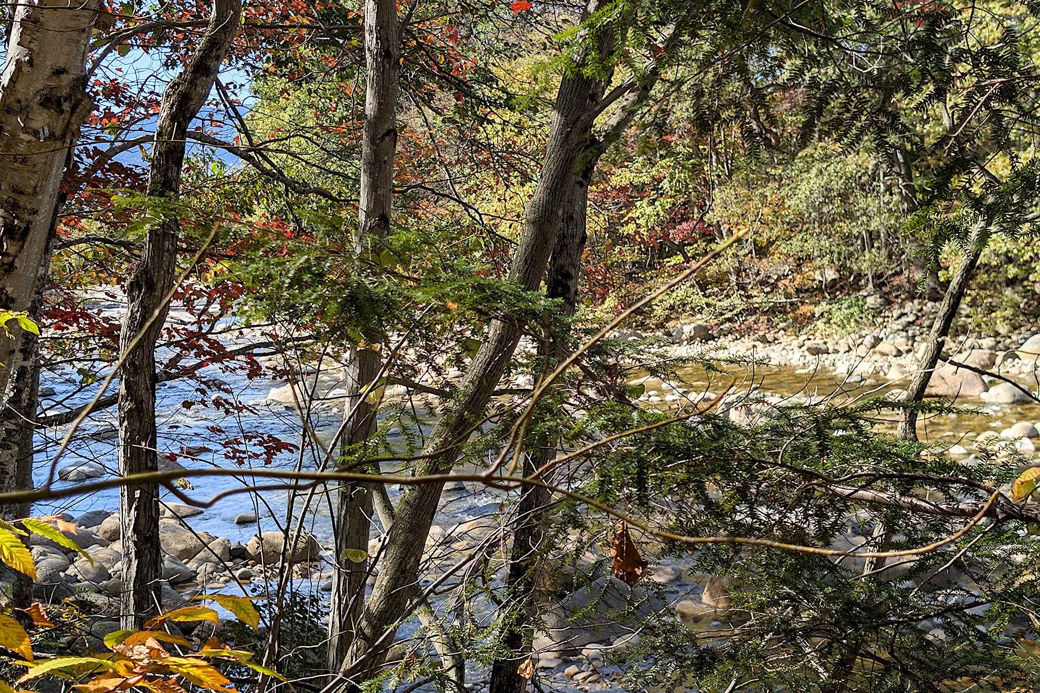 MLS #5063313 image #27