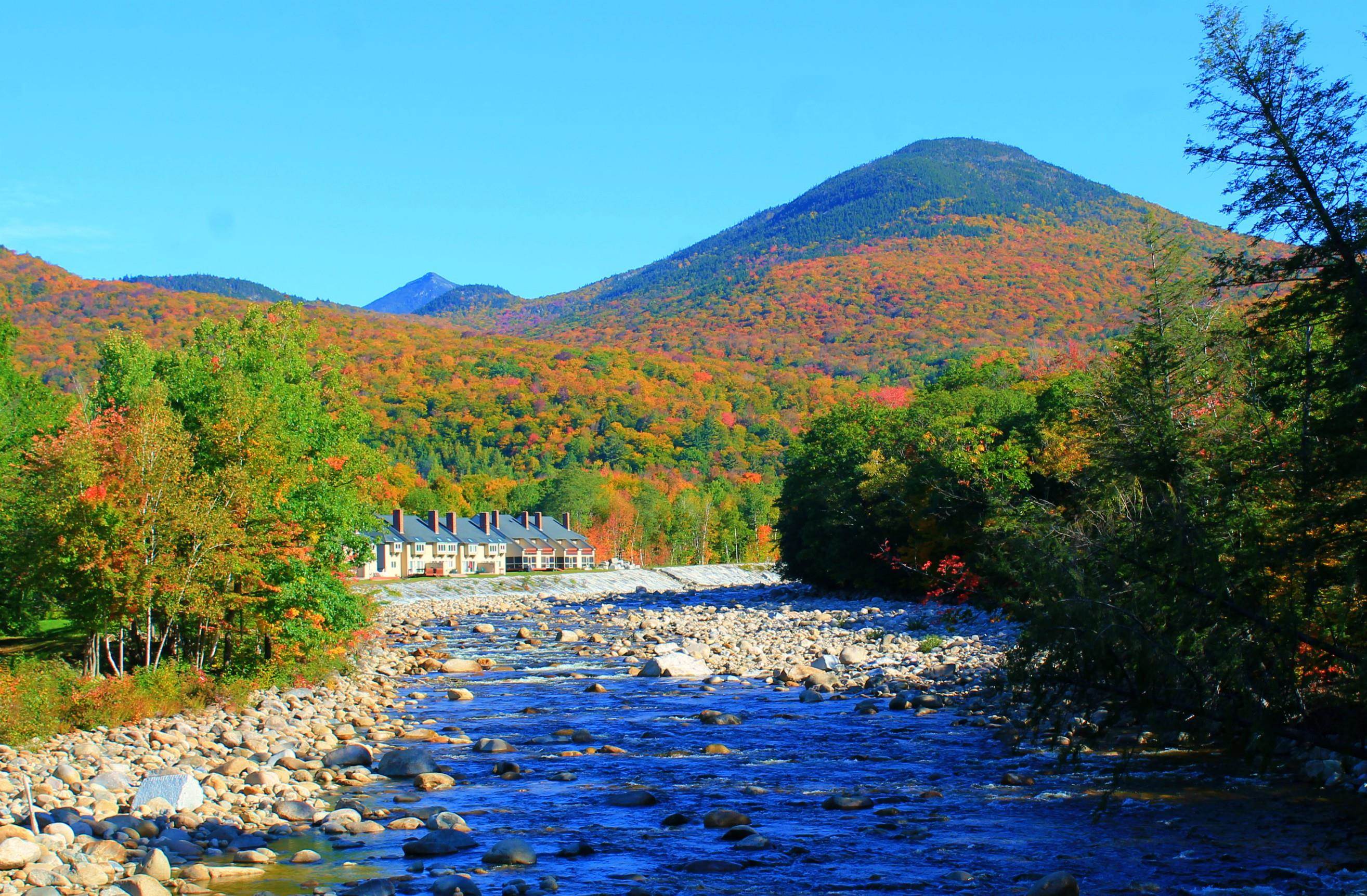 MLS #5063313 image #30