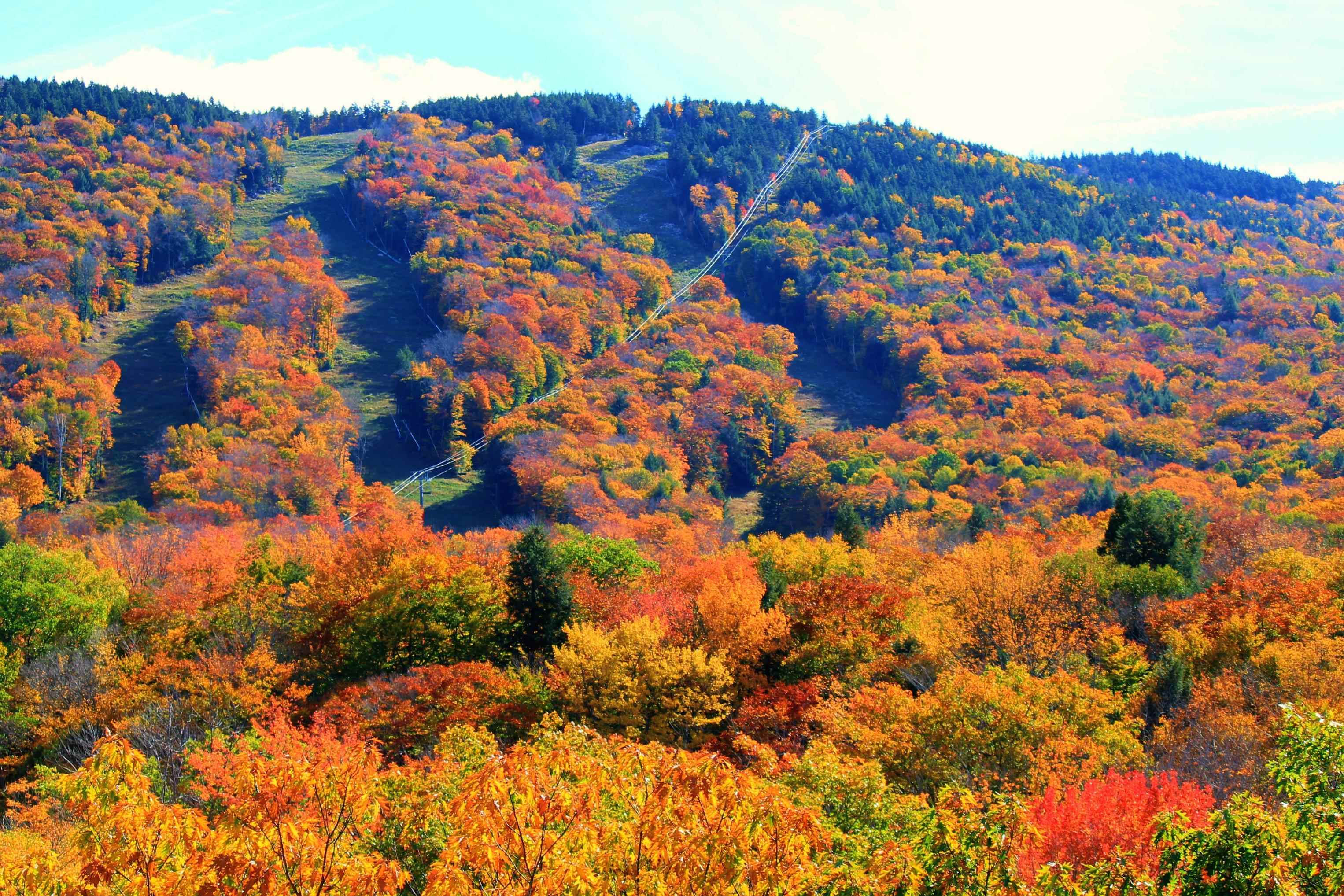 MLS #5063313 image #34