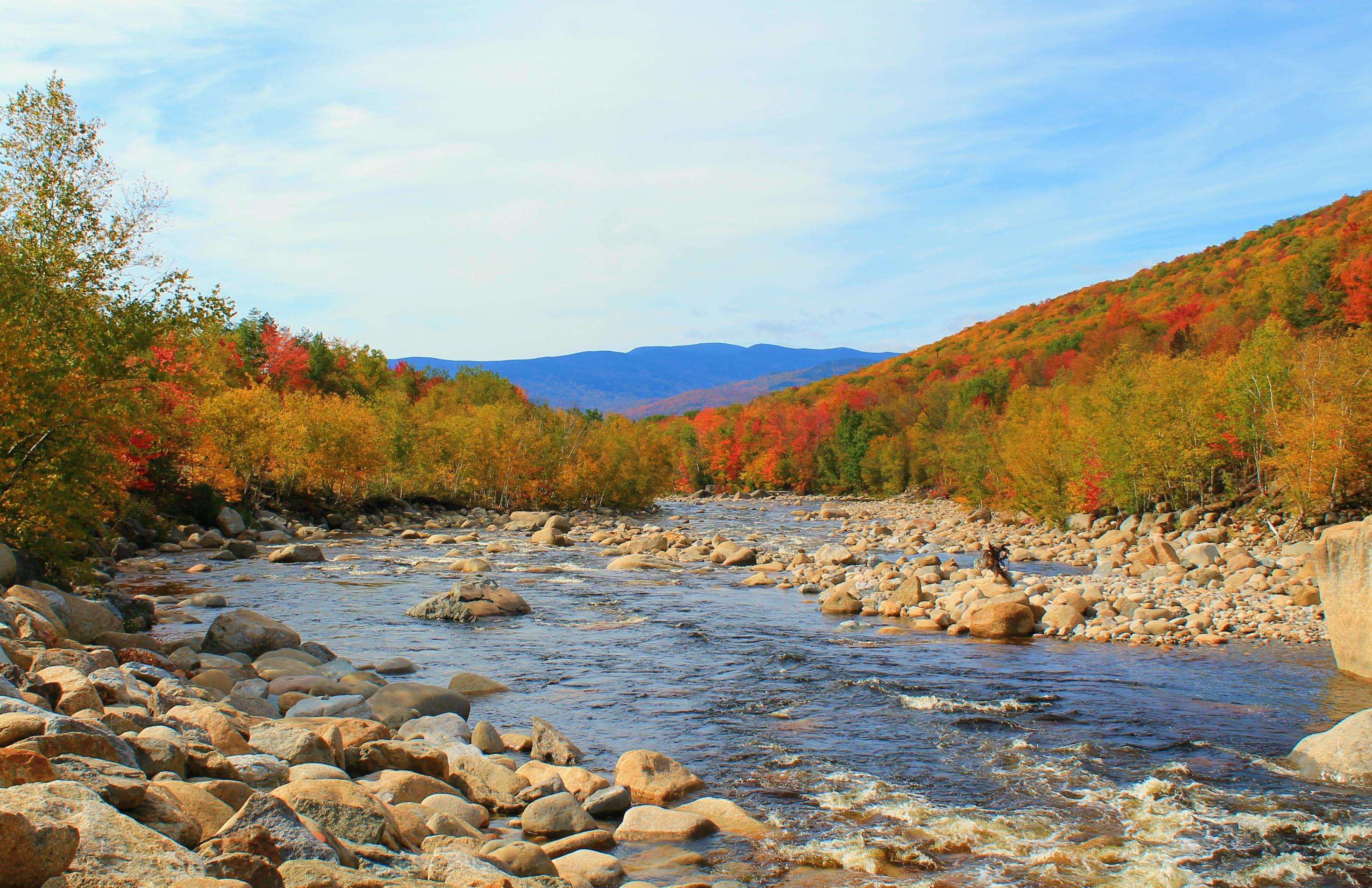 MLS #5063313 image #39