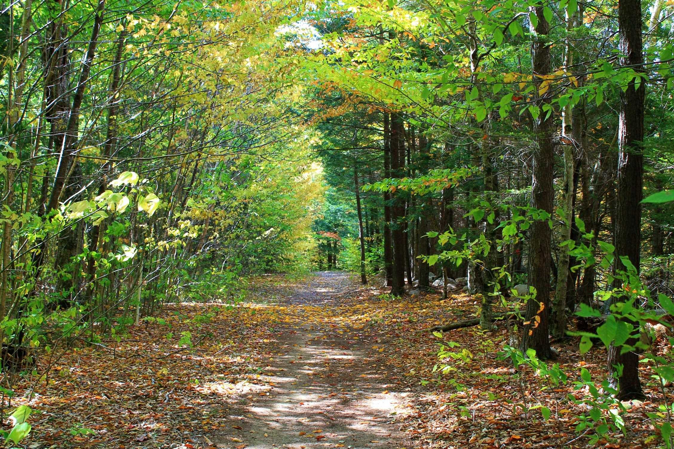 MLS #5063313 image #40