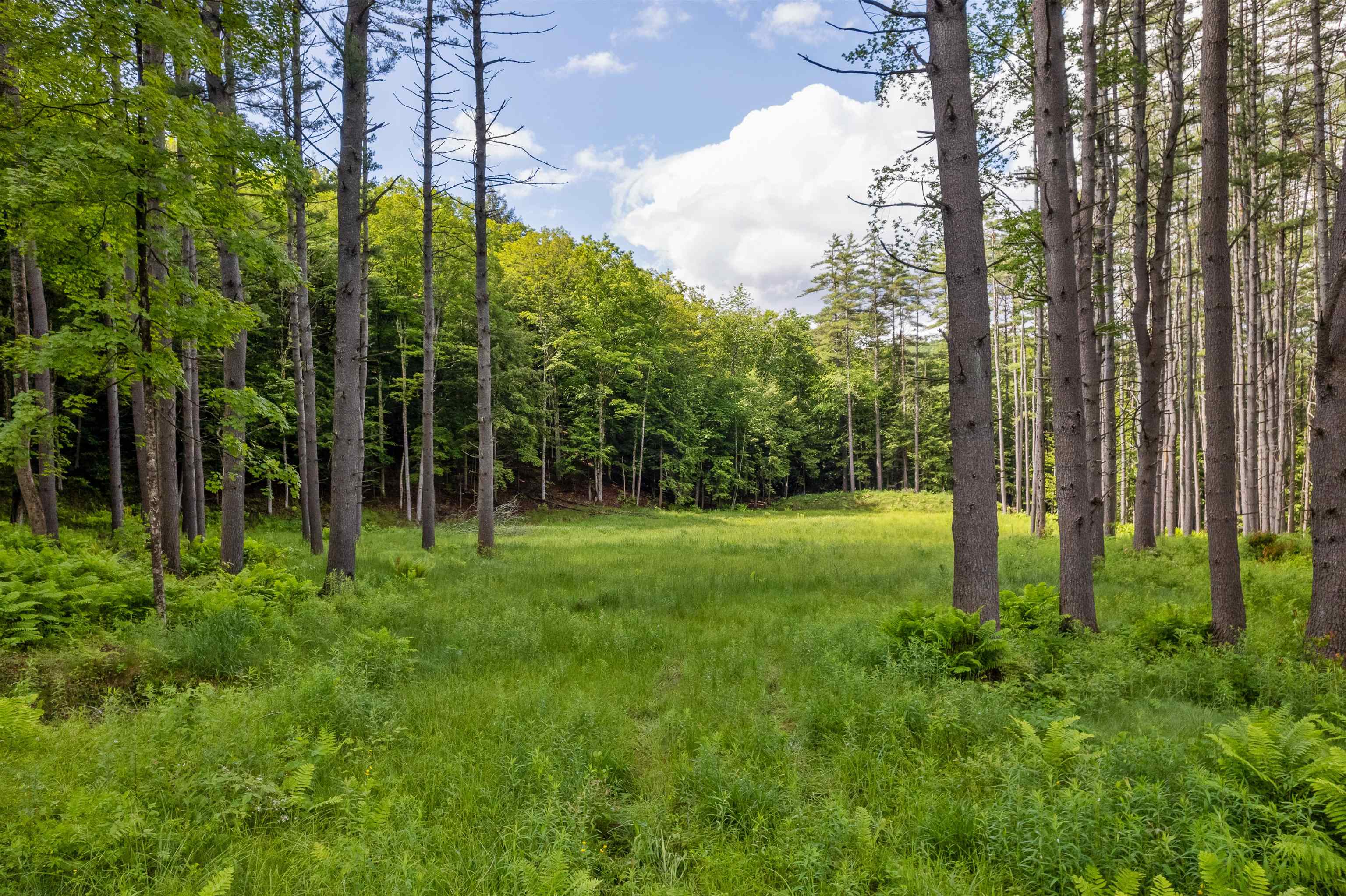 Partially cleared area ready to build