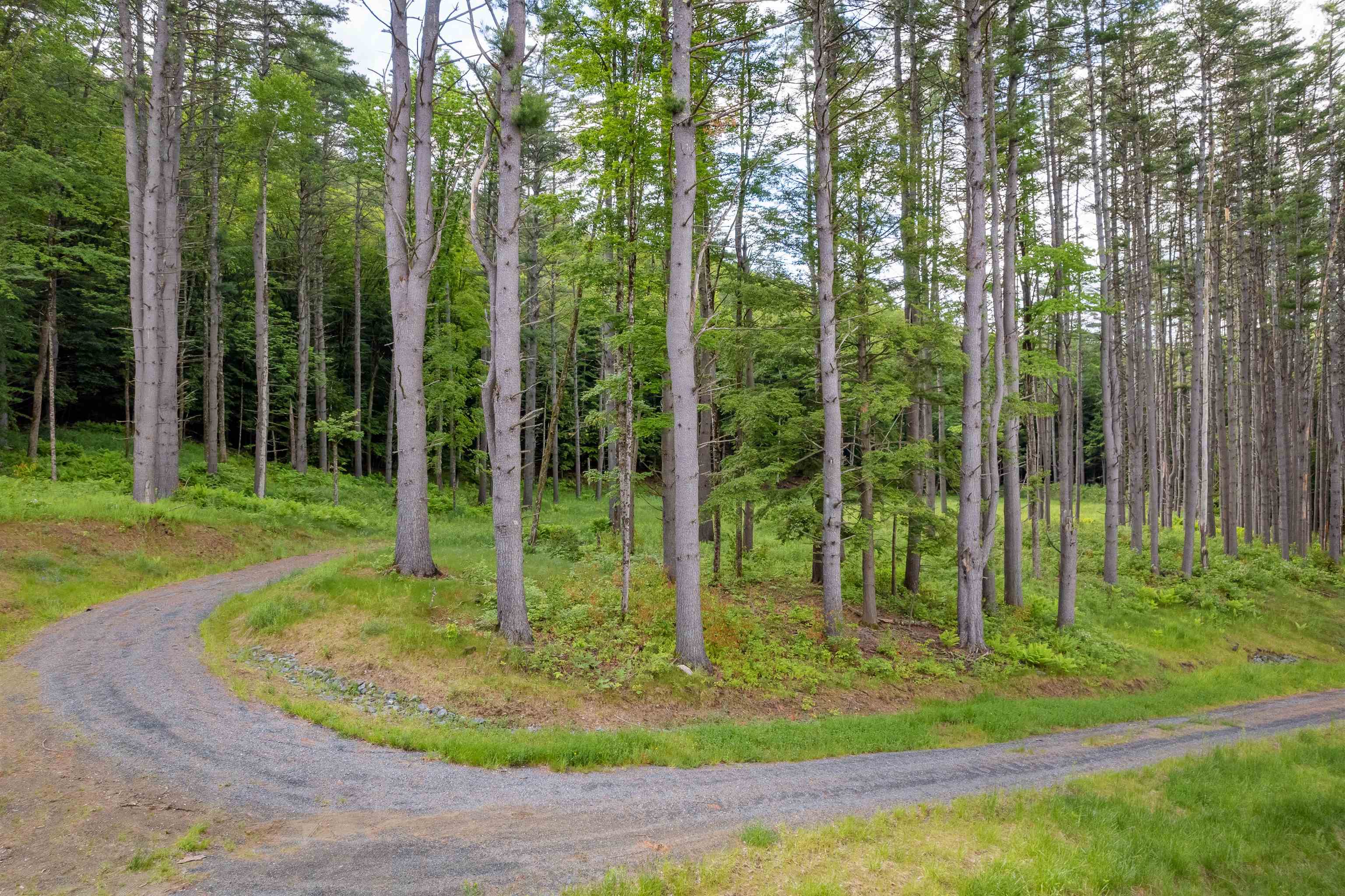 Driveway in place!