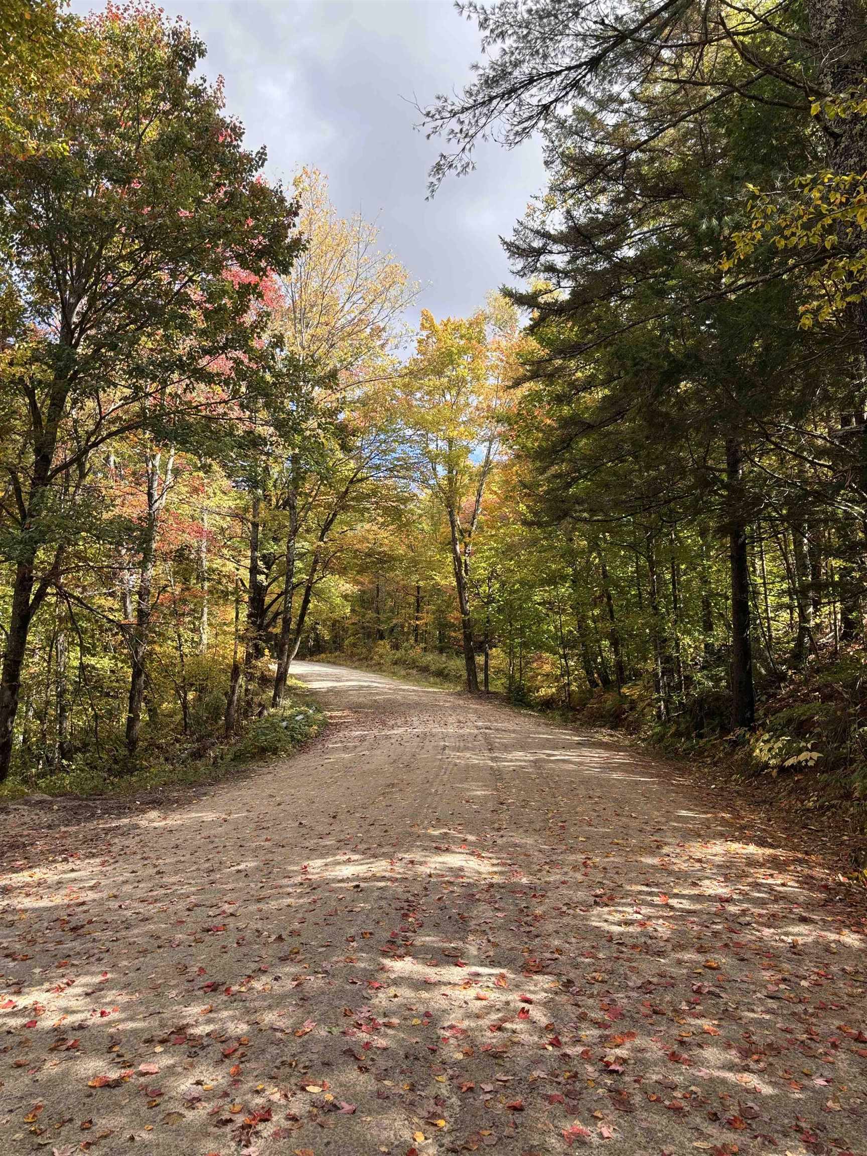 Homes for sale in Goshen, NH | Lot 11 2 Ball Park Rd, Goshen, NH 03752 | MLS# 5063464