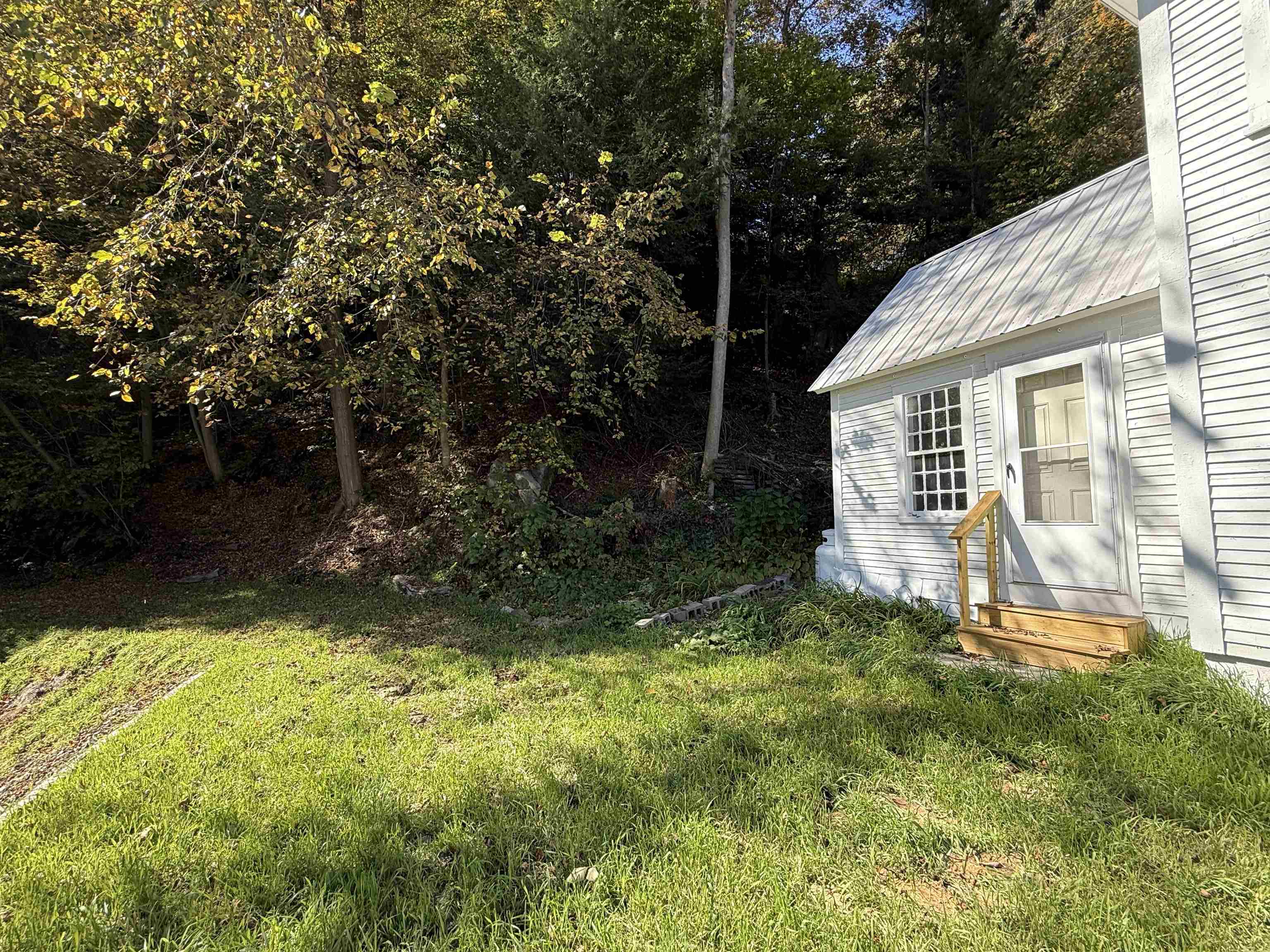 Back yard