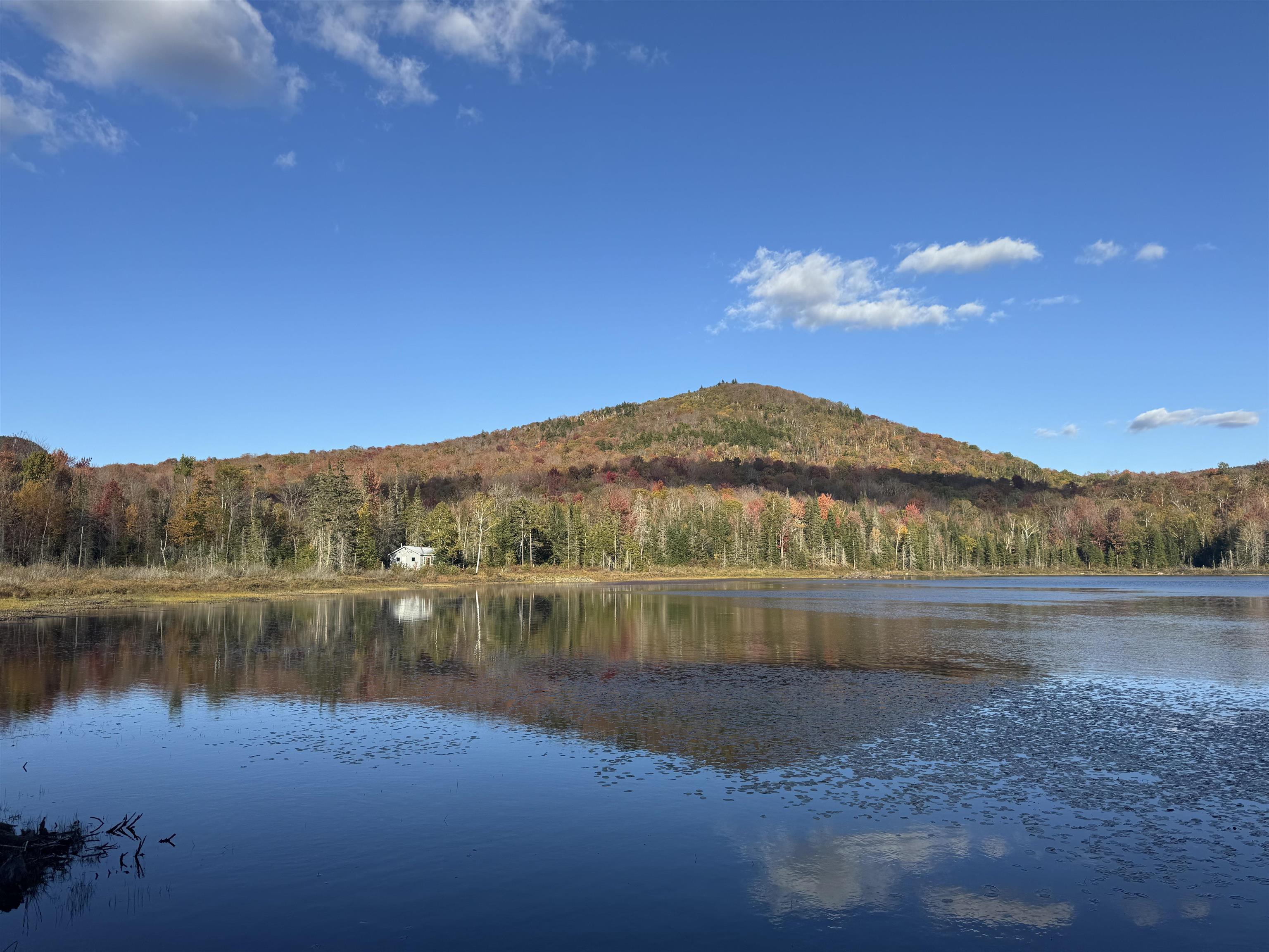 Homes for sale in Barton, VT | 915 Wheeler Mountain Rd, Barton, VT 05822 | MLS# 5063598