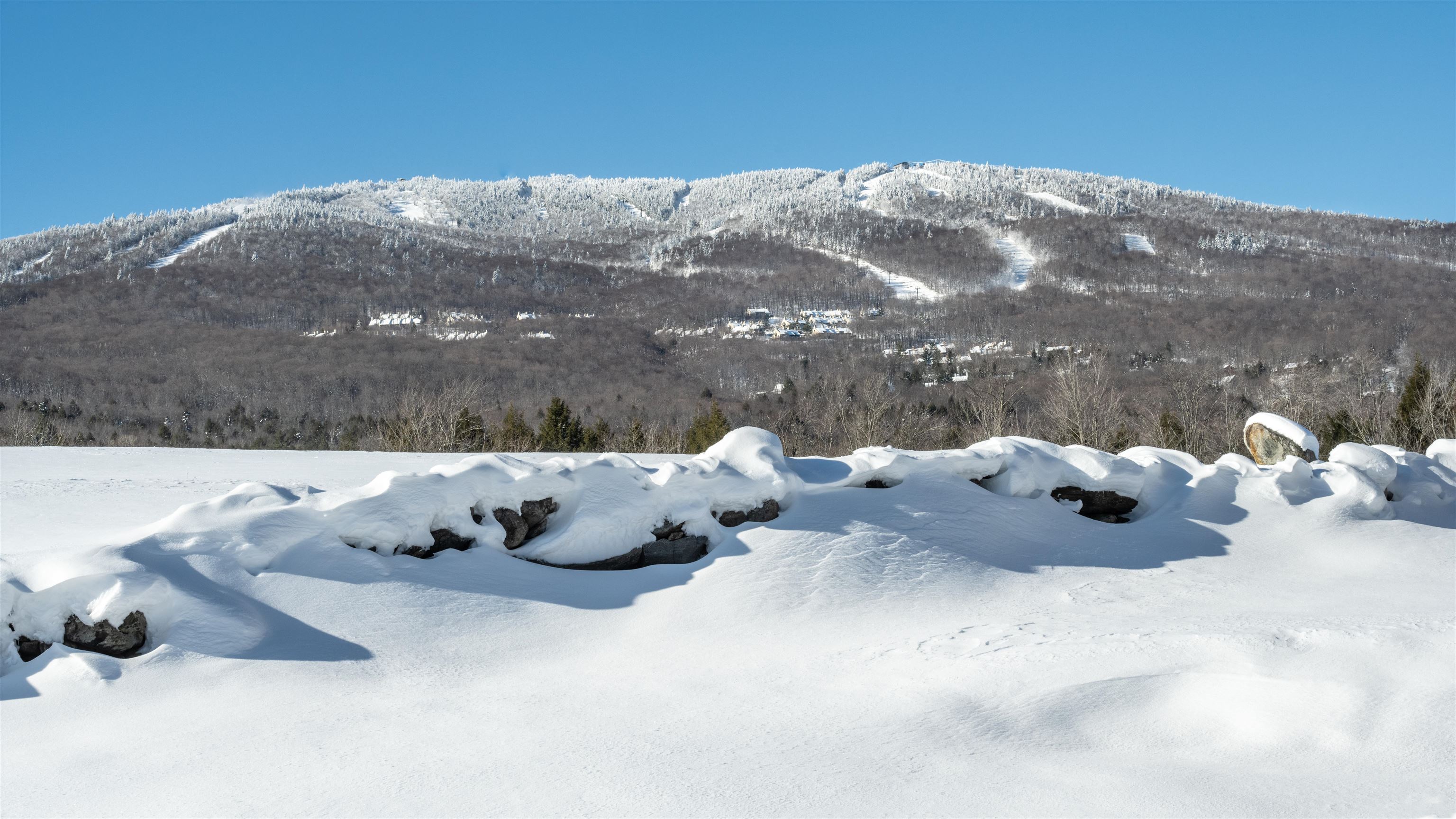 Okemo and