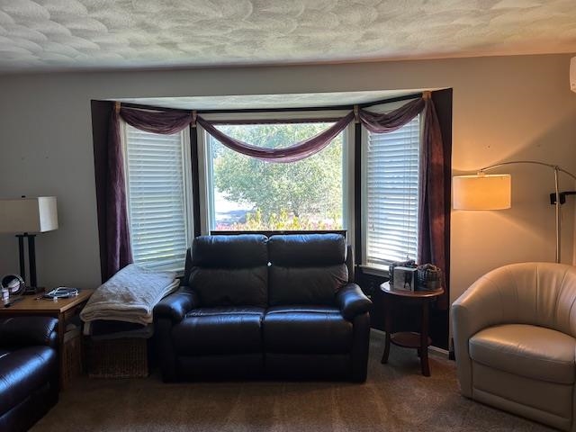 Photo 14 of 41