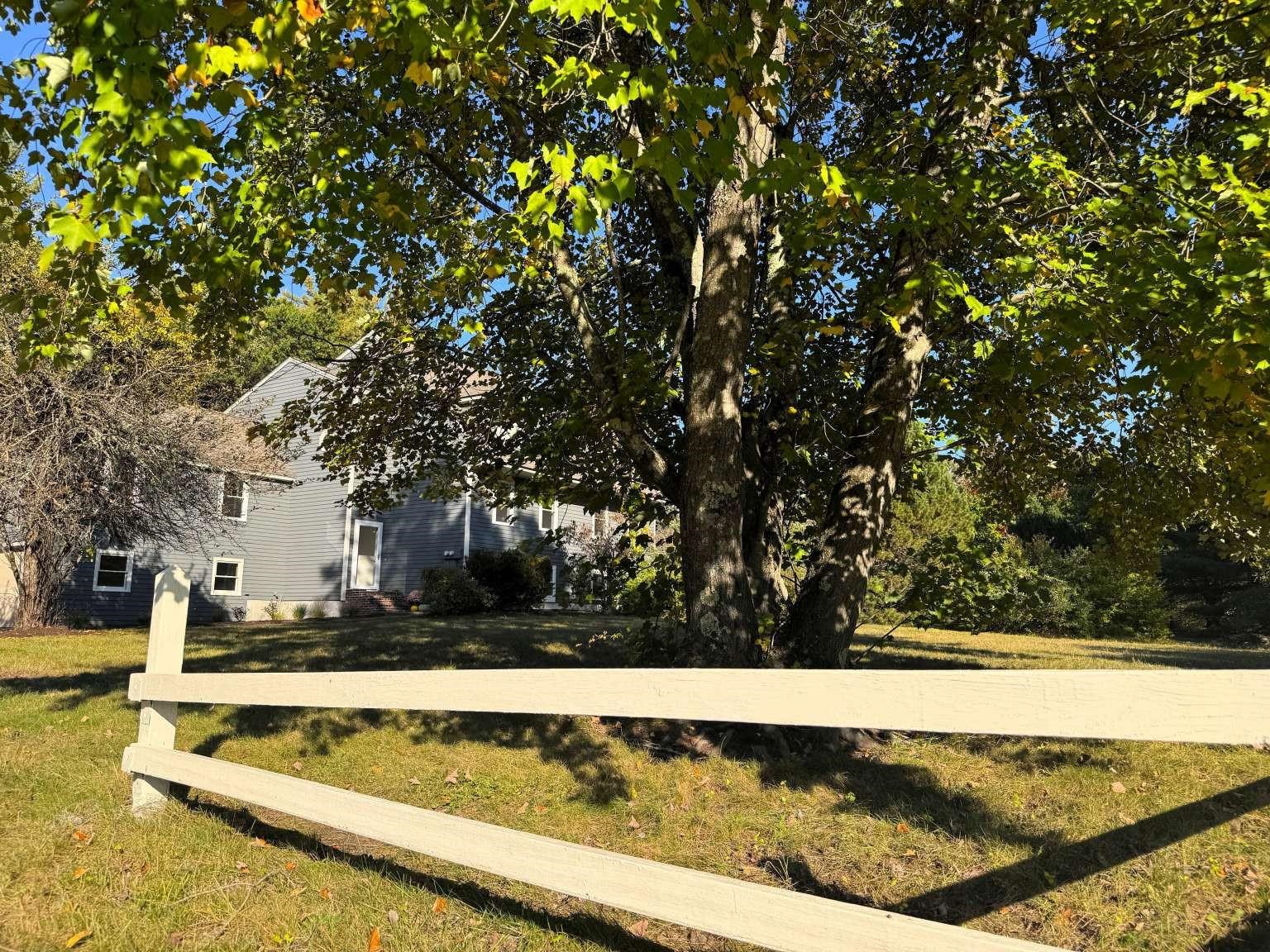 Photo 20 of 20