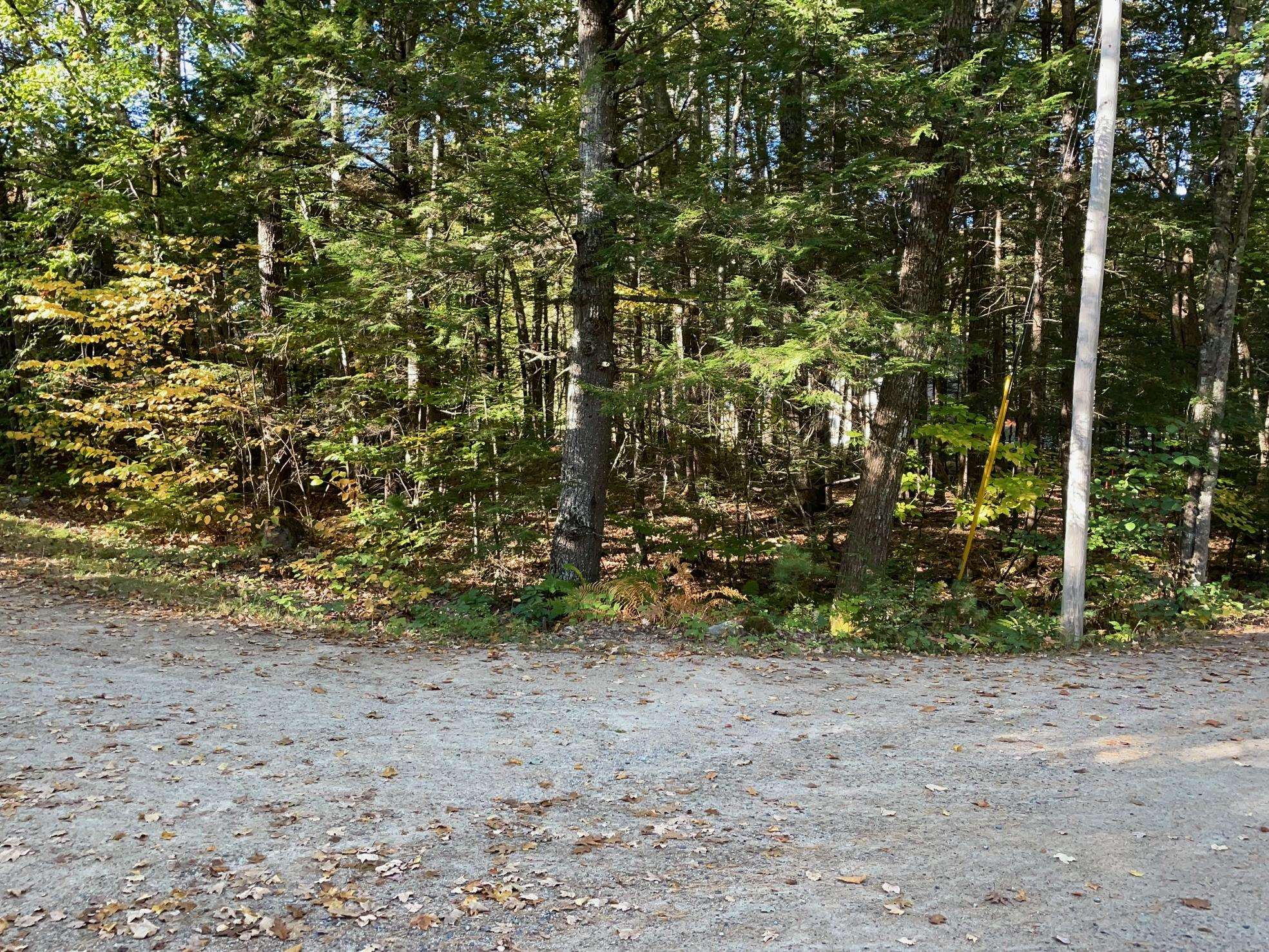 MLS #5063990 image #3