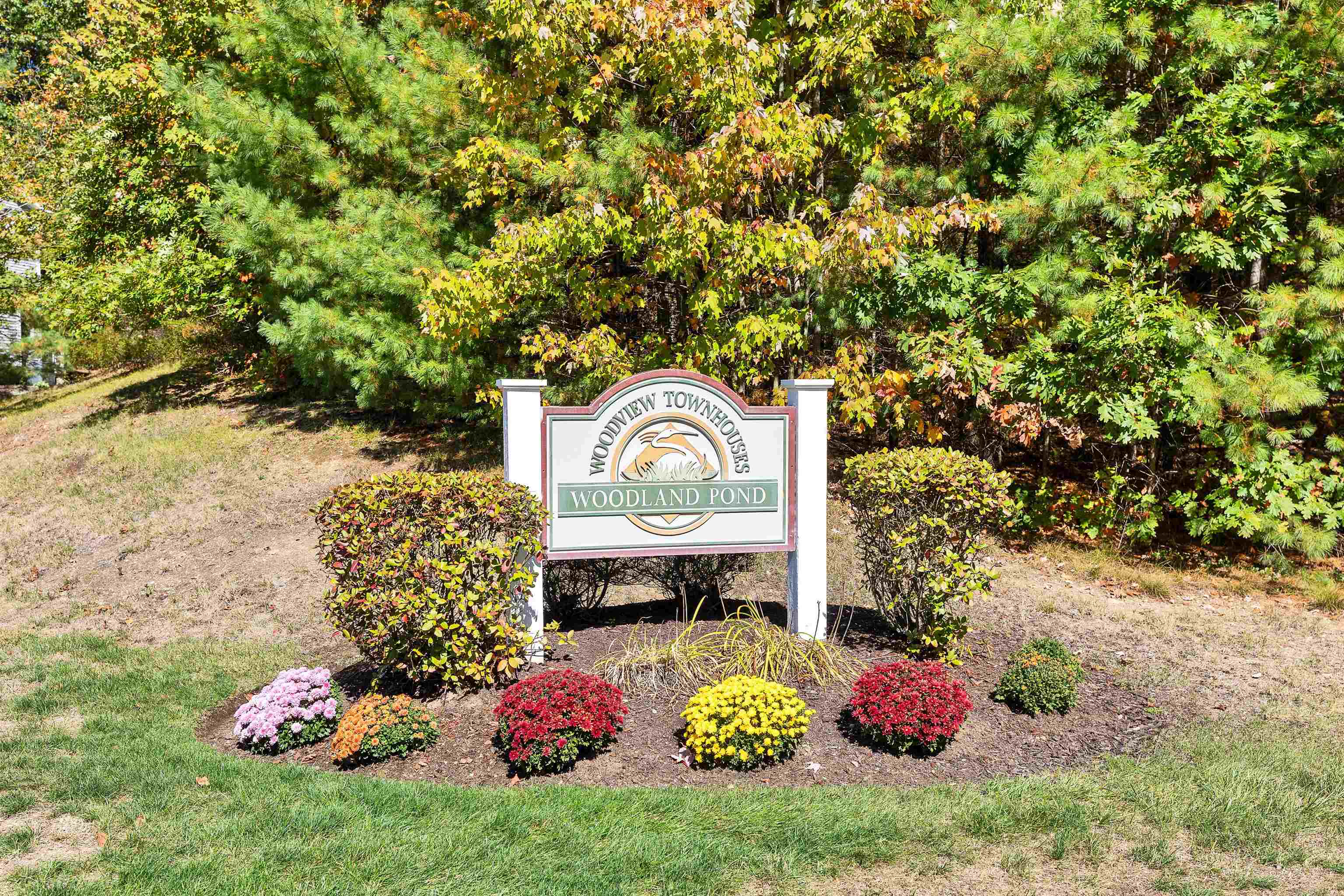 Welcome to Woodview Way 24204258