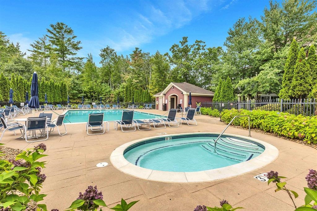 You Will Never Leave This Pool Area 24204262