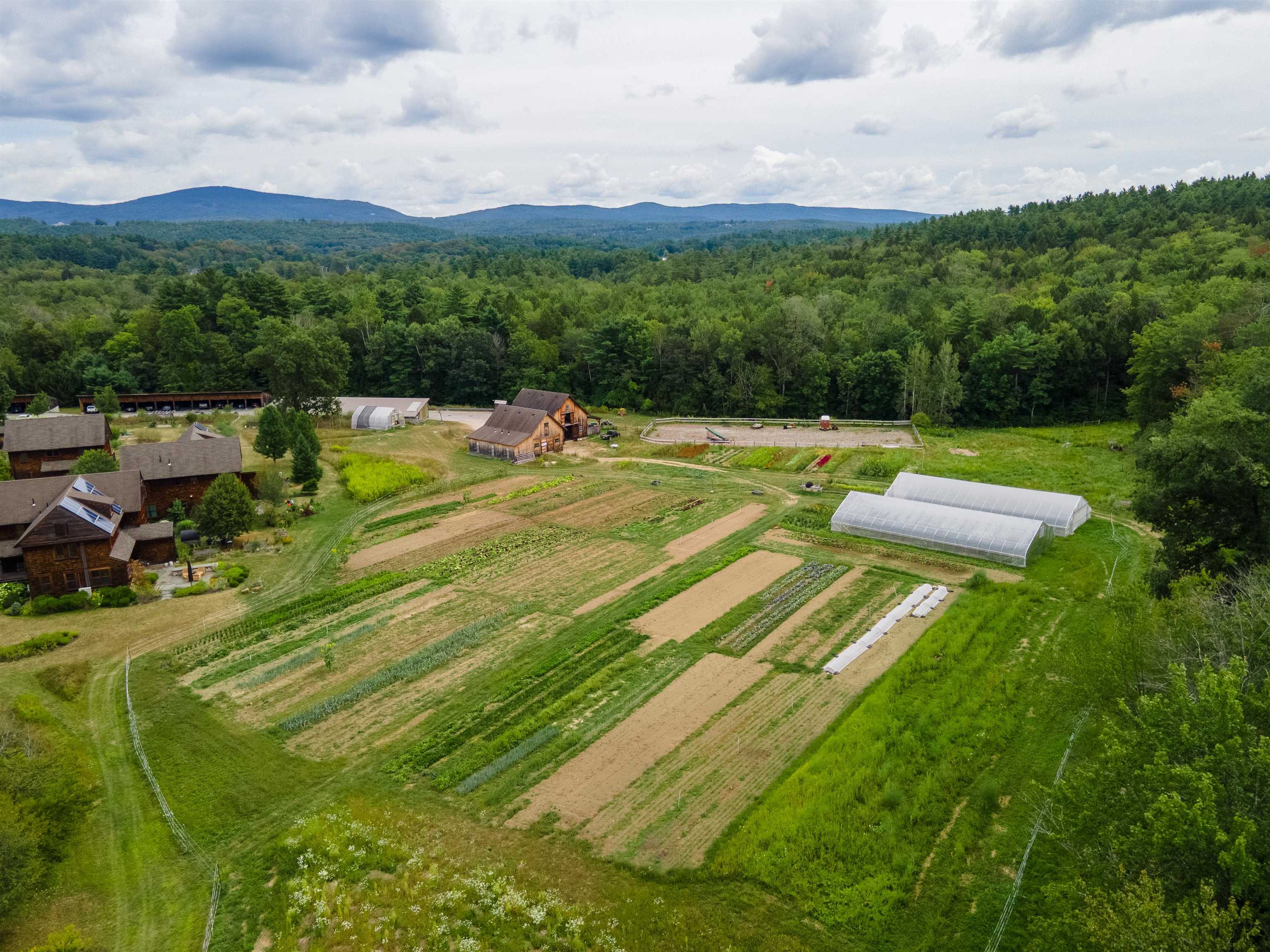 Organic Farm