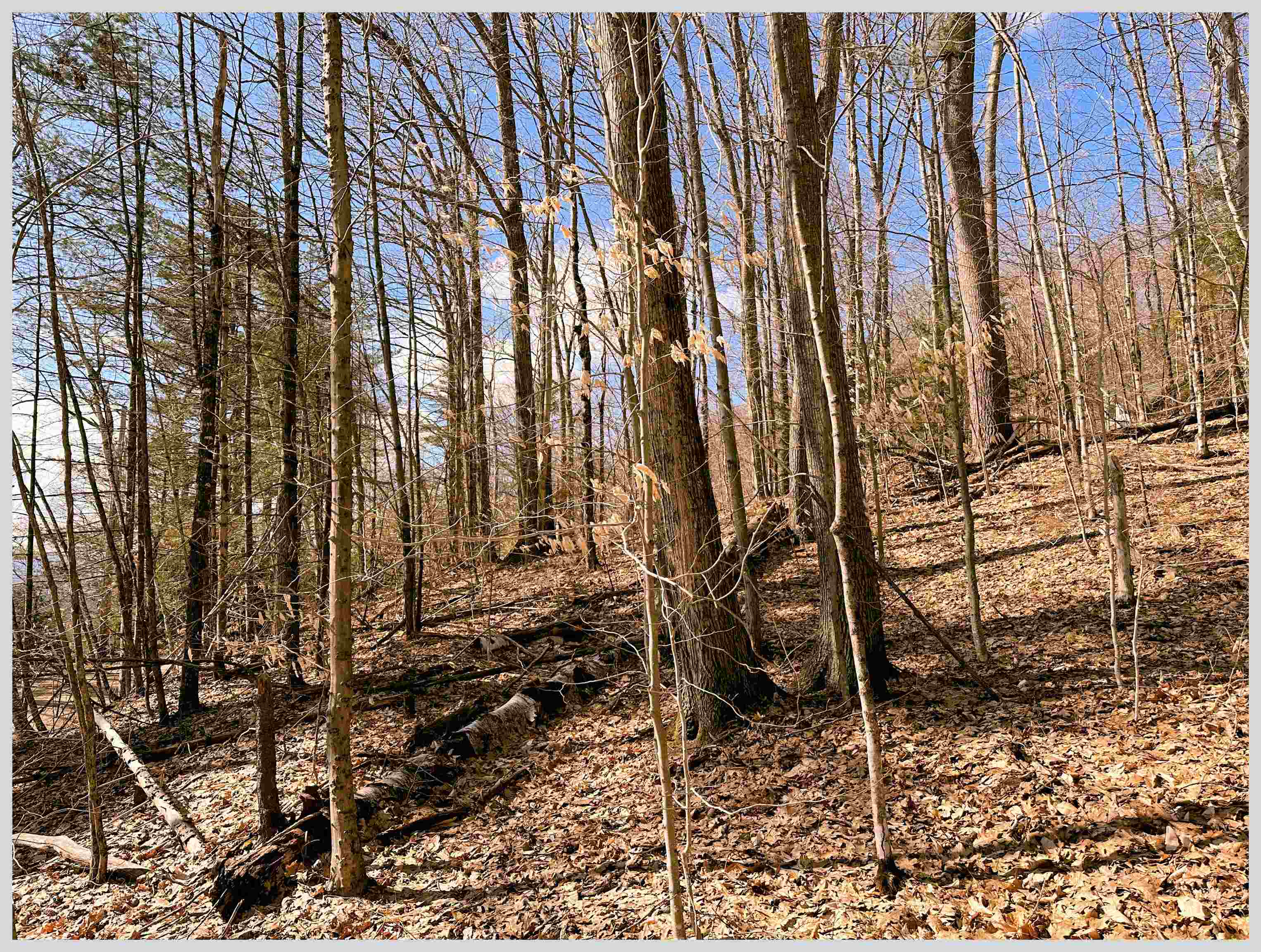 MLS #5064213 image #1