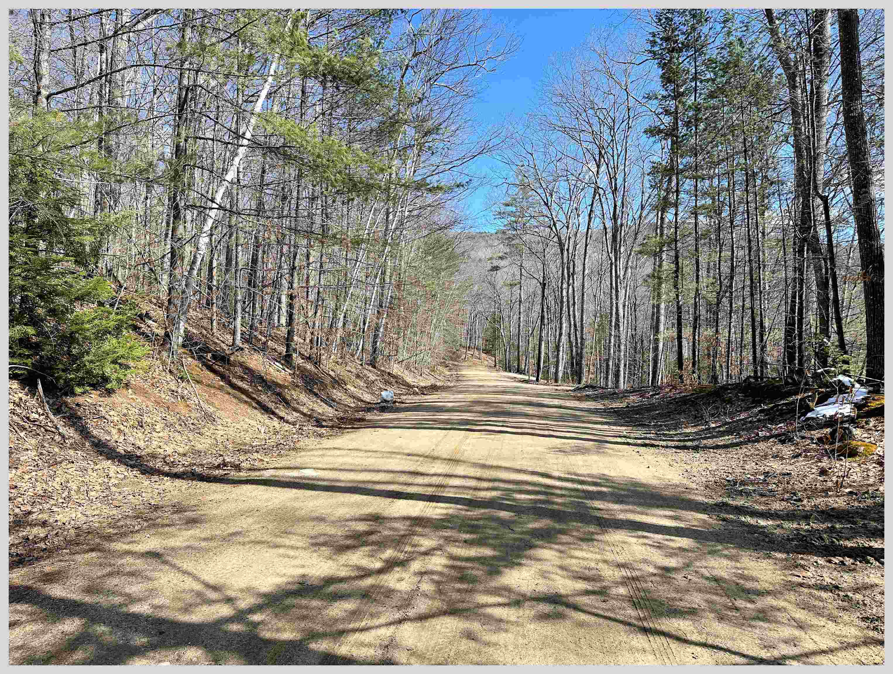 MLS #5064213 image #10