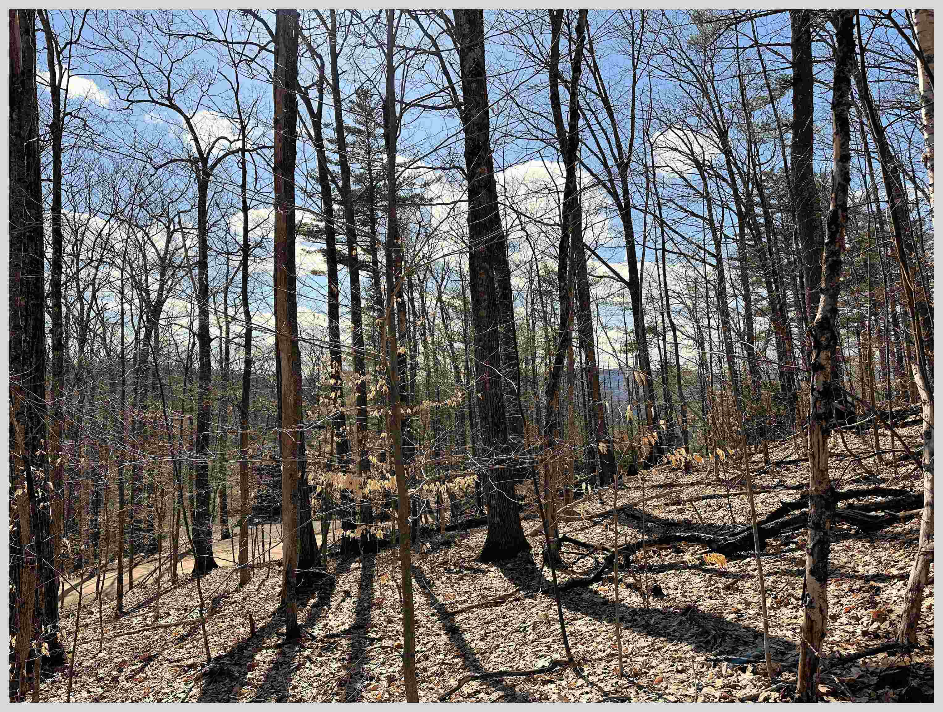 MLS #5064213 image #2