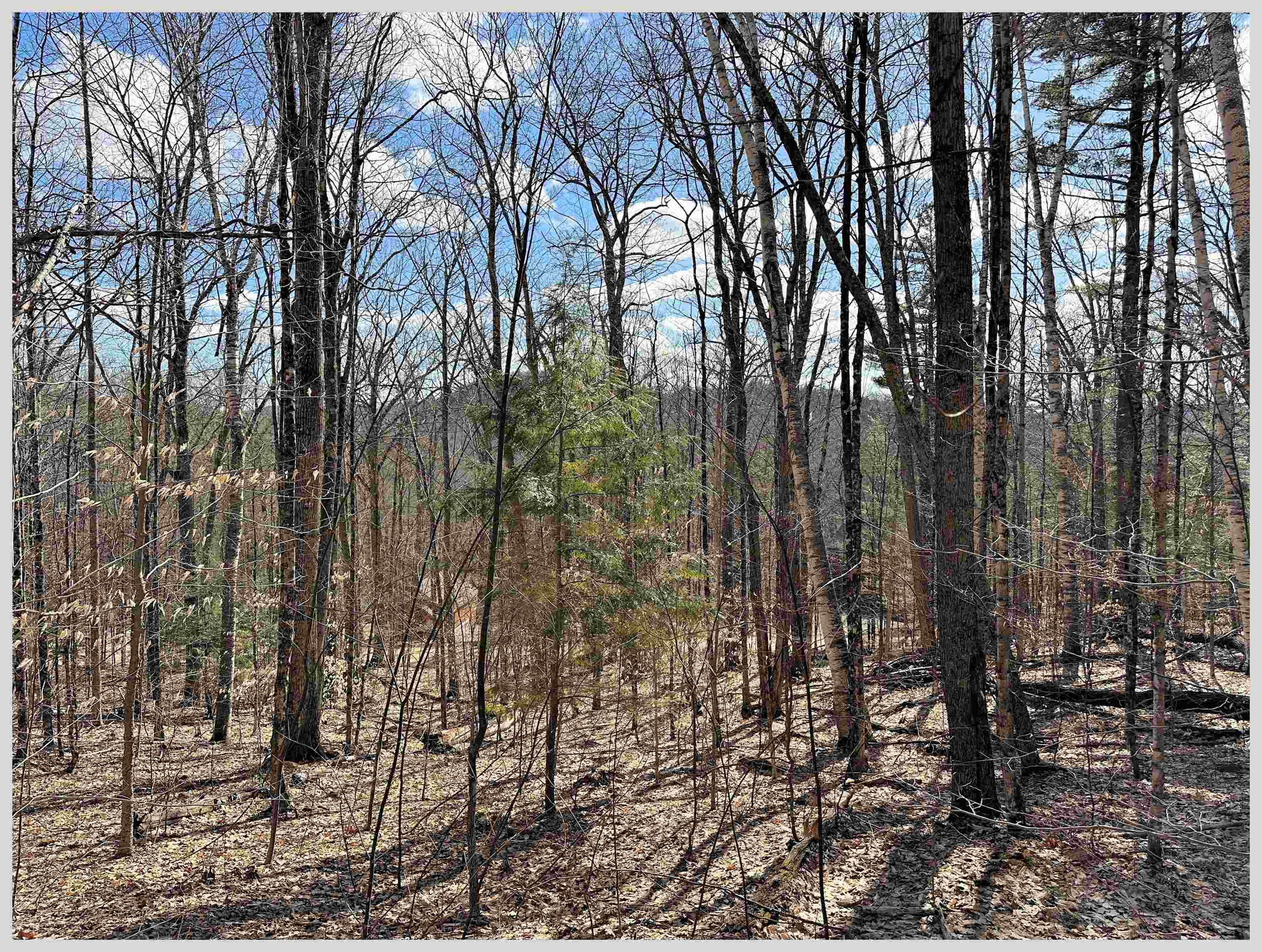 MLS #5064213 image #5