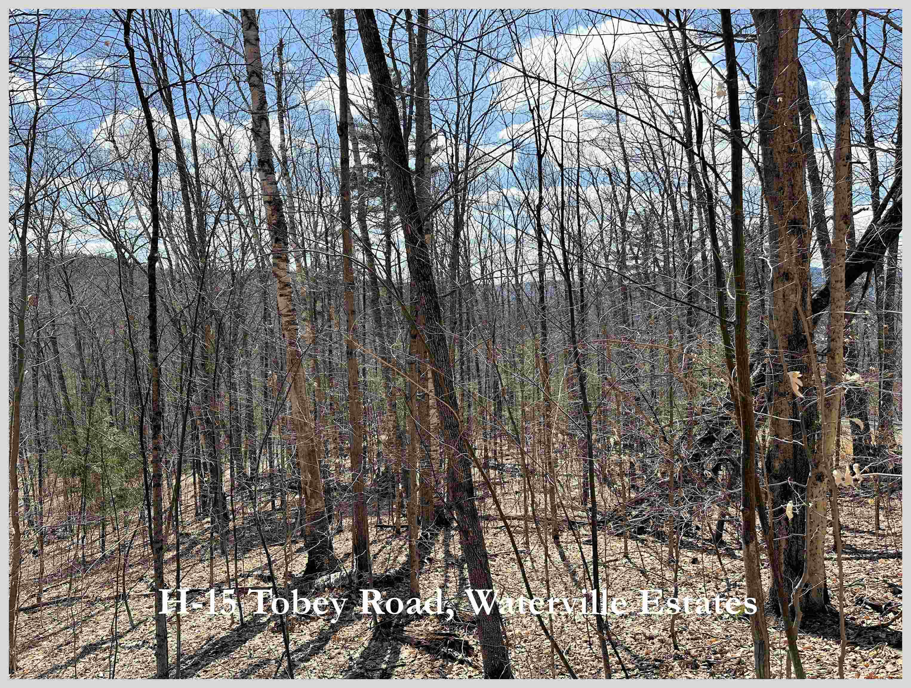 MLS #5064213 image #6