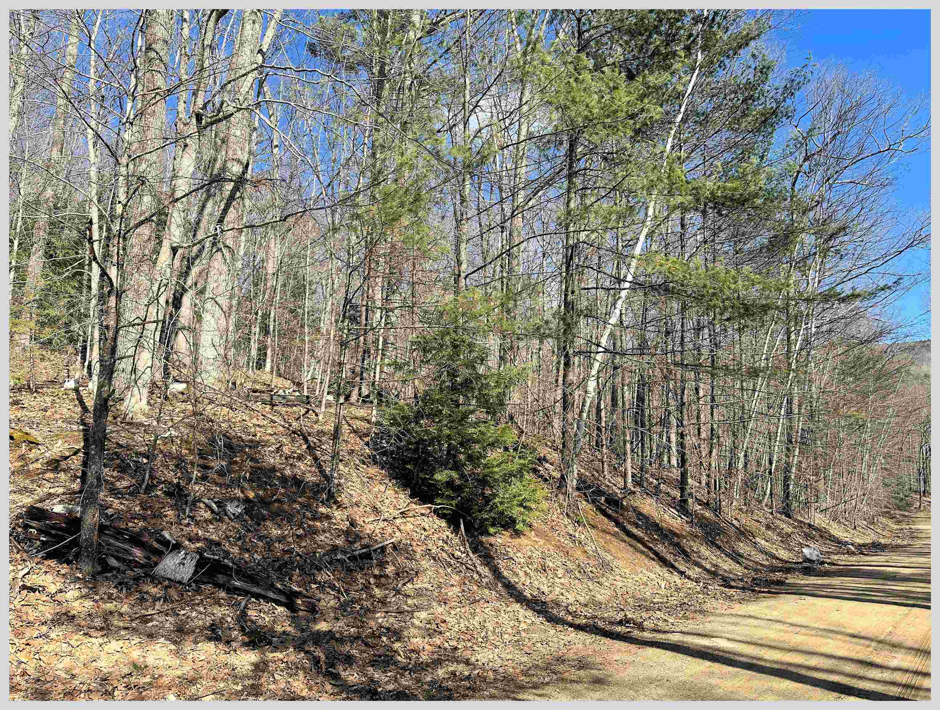 MLS #5064213 image #9